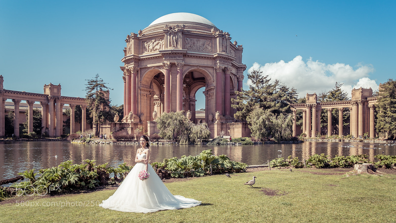 Sony a7S II sample photo. Dsc photography