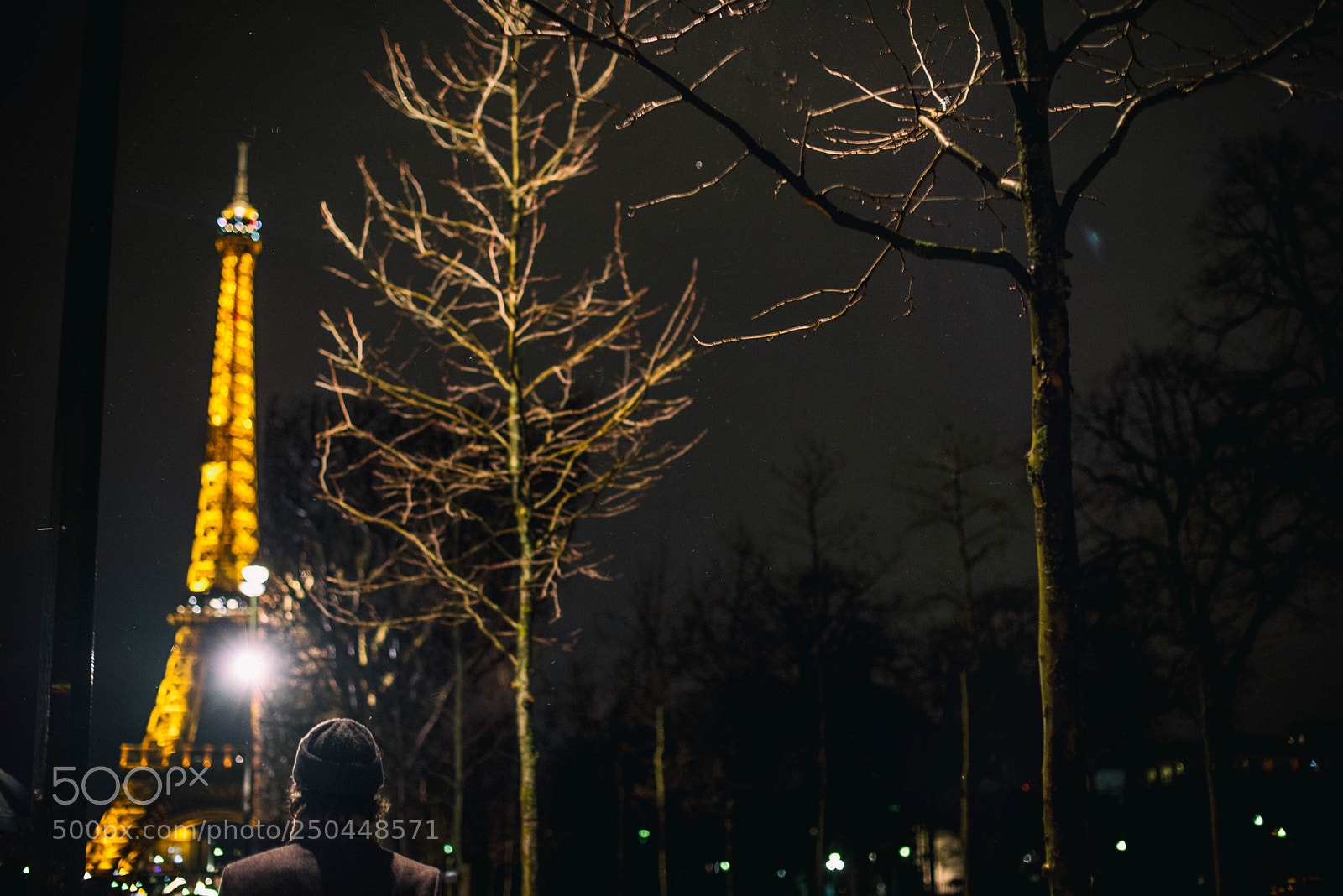 Nikon D610 sample photo. Starry night photography