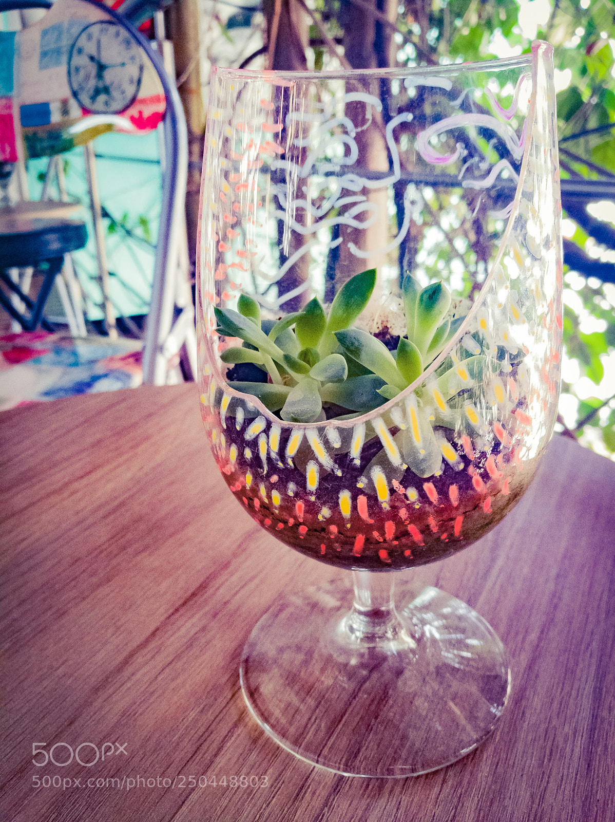 HUAWEI Honor 8 sample photo. Naturecup photography