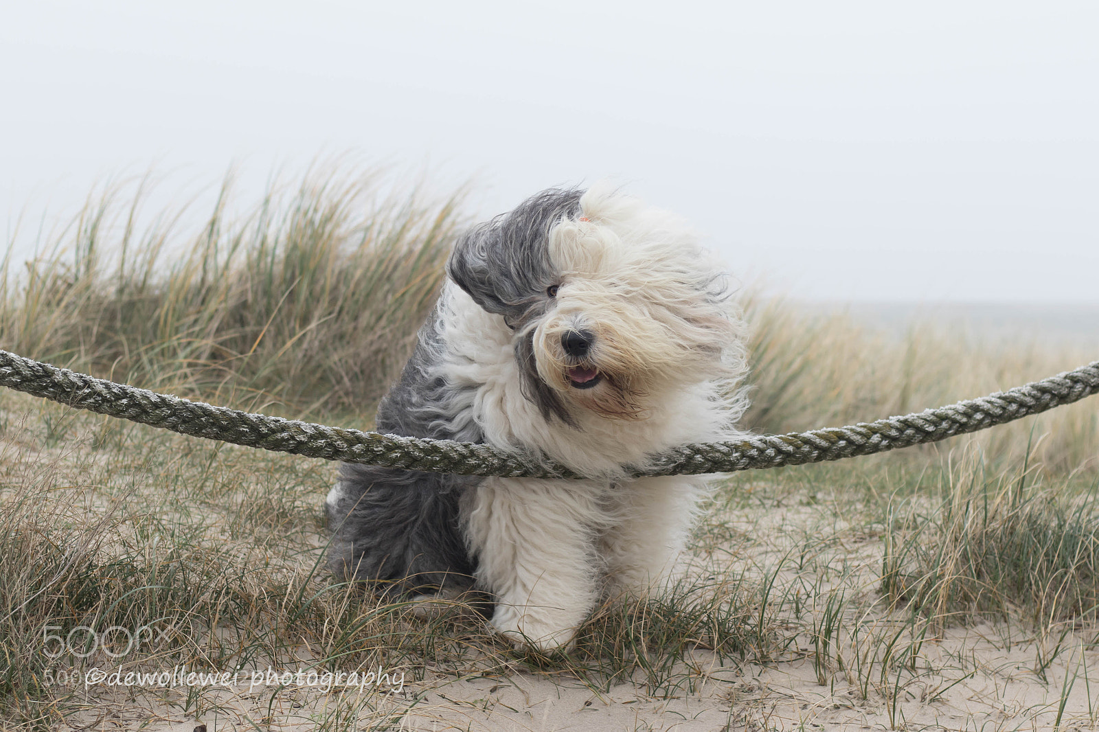 Canon EOS 7D Mark II sample photo. Windy portrait photography
