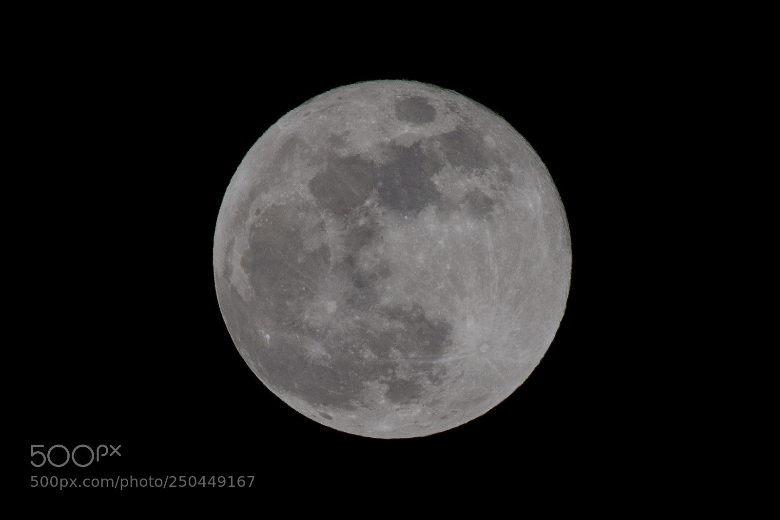Nikon D7200 sample photo. Super grey moon photography