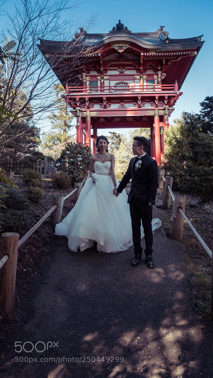 Sony a7S II sample photo. Dsc photography