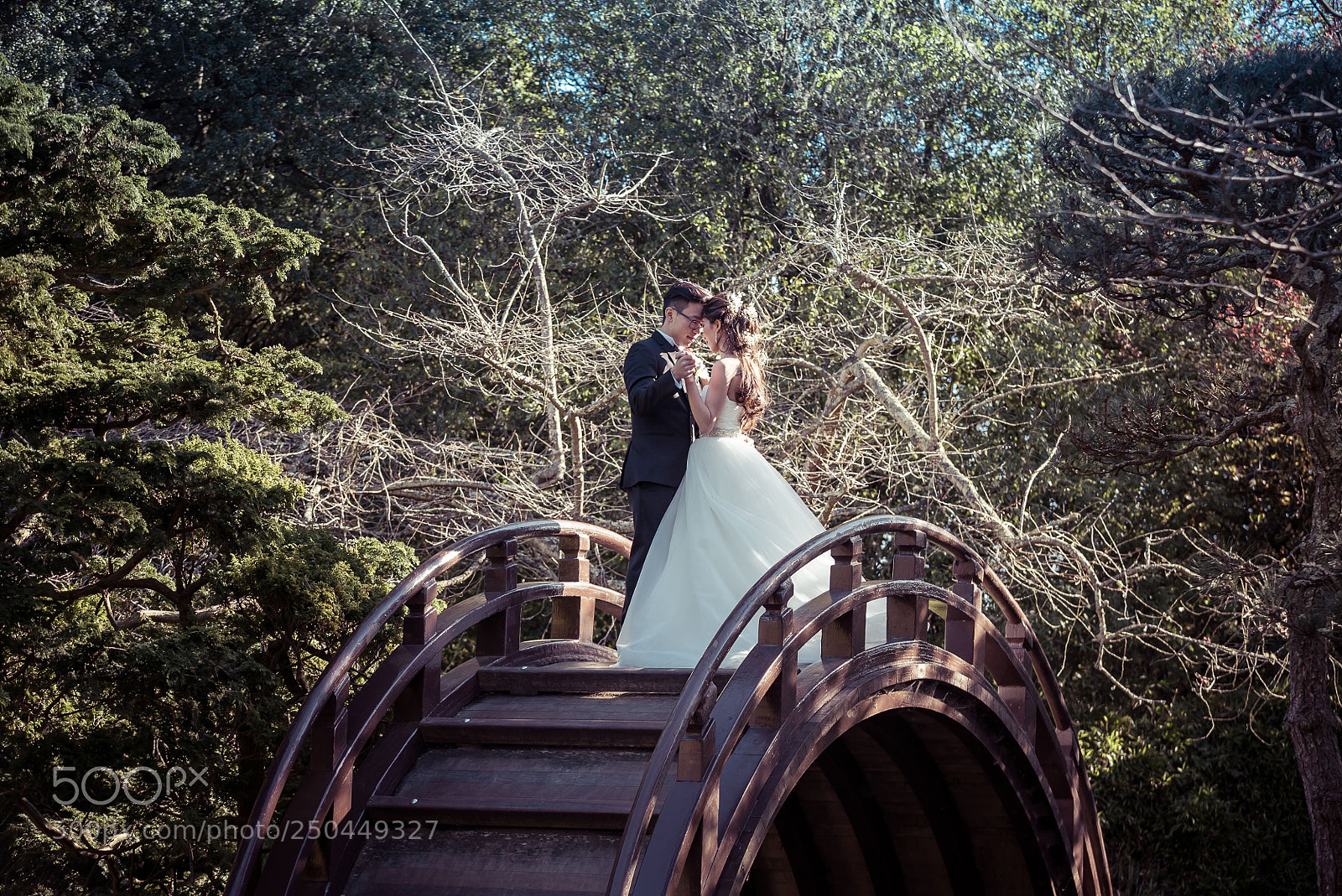 Sony a7S II sample photo. Dsc photography