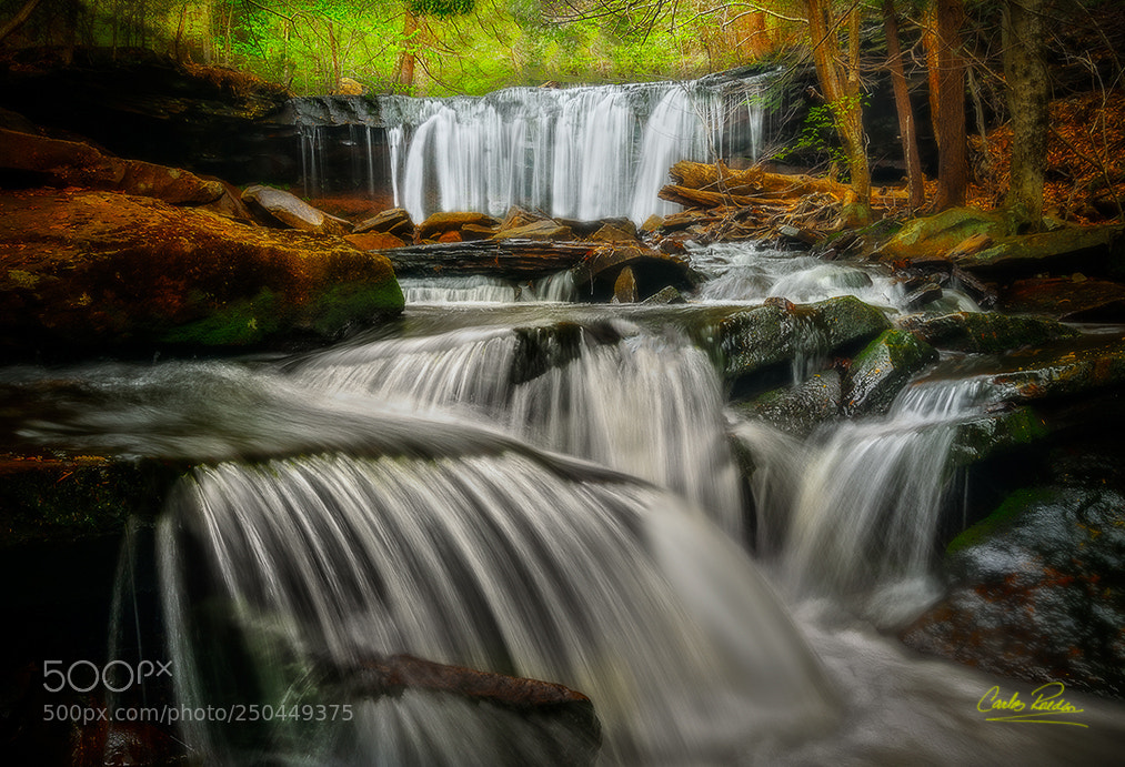 Nikon D300 sample photo. Oneida fall, ricketts glen photography
