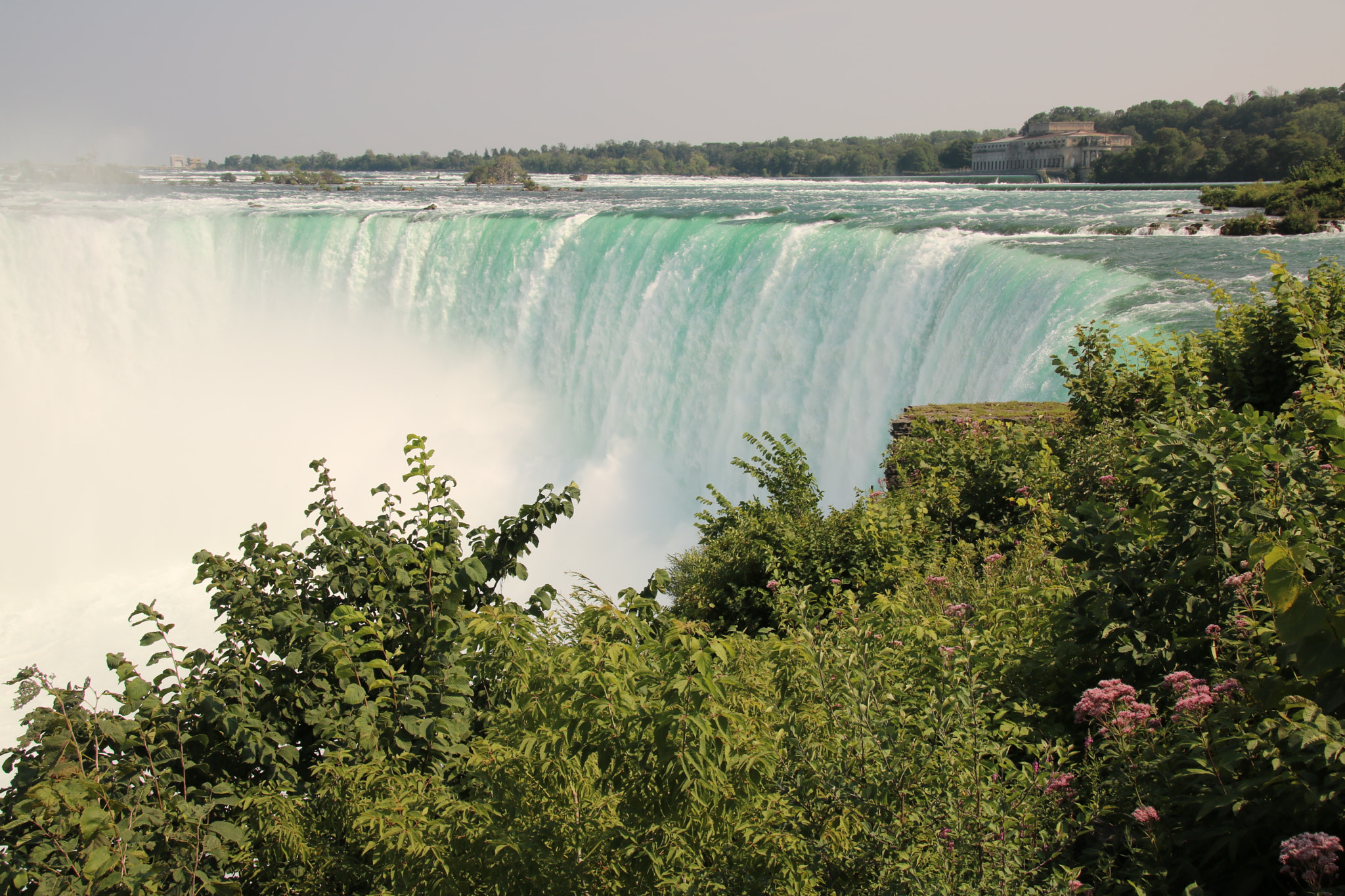 Sigma 18-250mm F3.5-6.3 DC OS HSM sample photo. Fleurs de niagara photography
