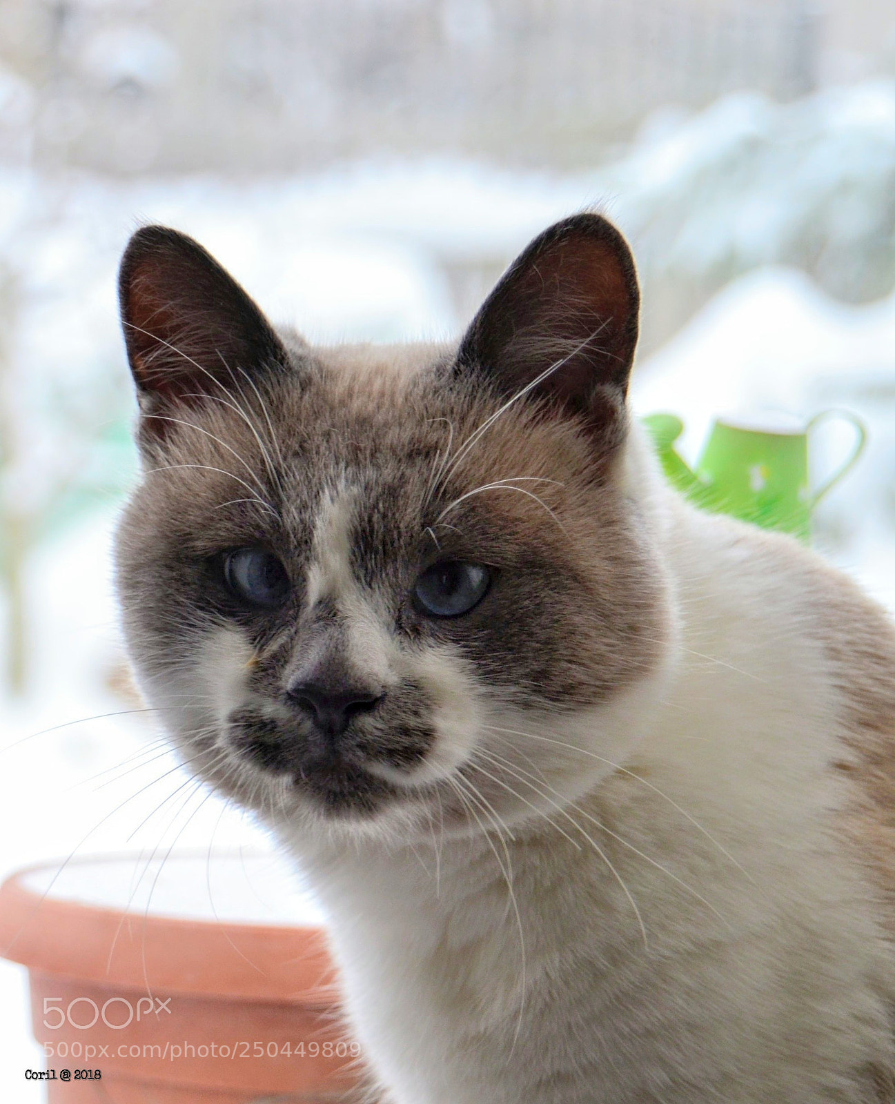 Nikon D3100 sample photo. Untitled photography