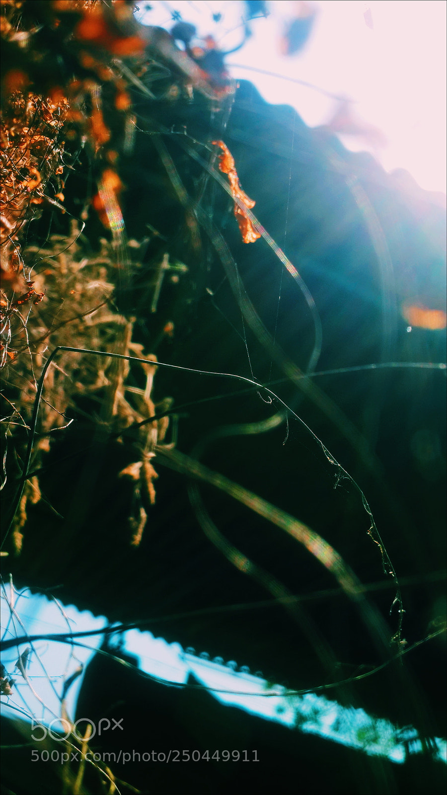 Samsung Galaxy S4 sample photo. Bit shiny photography