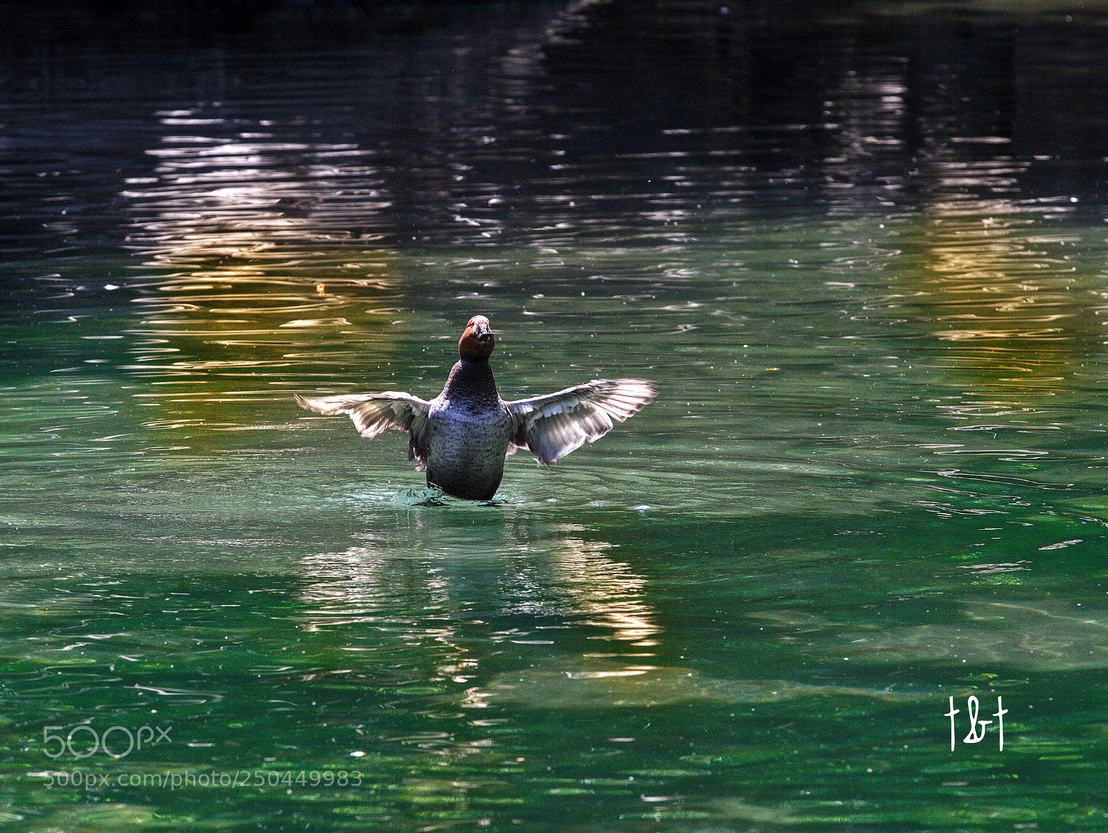 Canon EOS 7D sample photo. Untitled photography