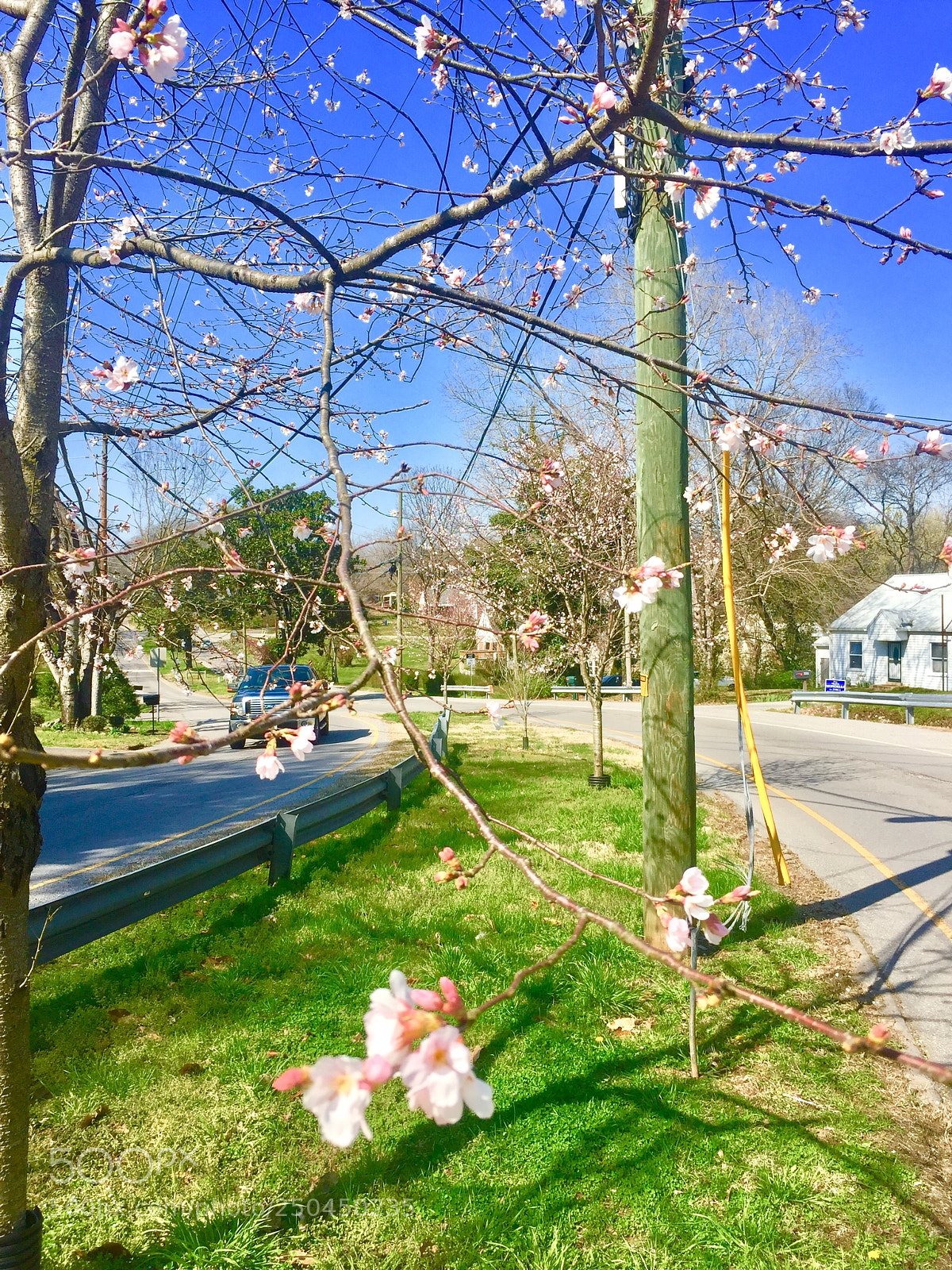 Apple iPhone 6 sample photo. Img photography