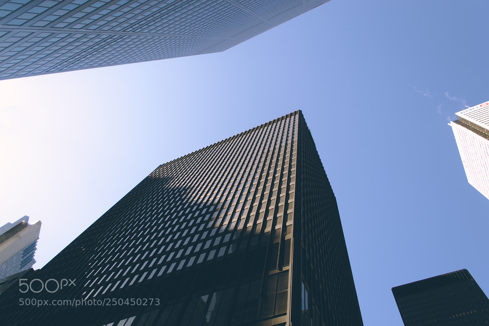 Nikon D3100 sample photo. Toronto downtown look up photography