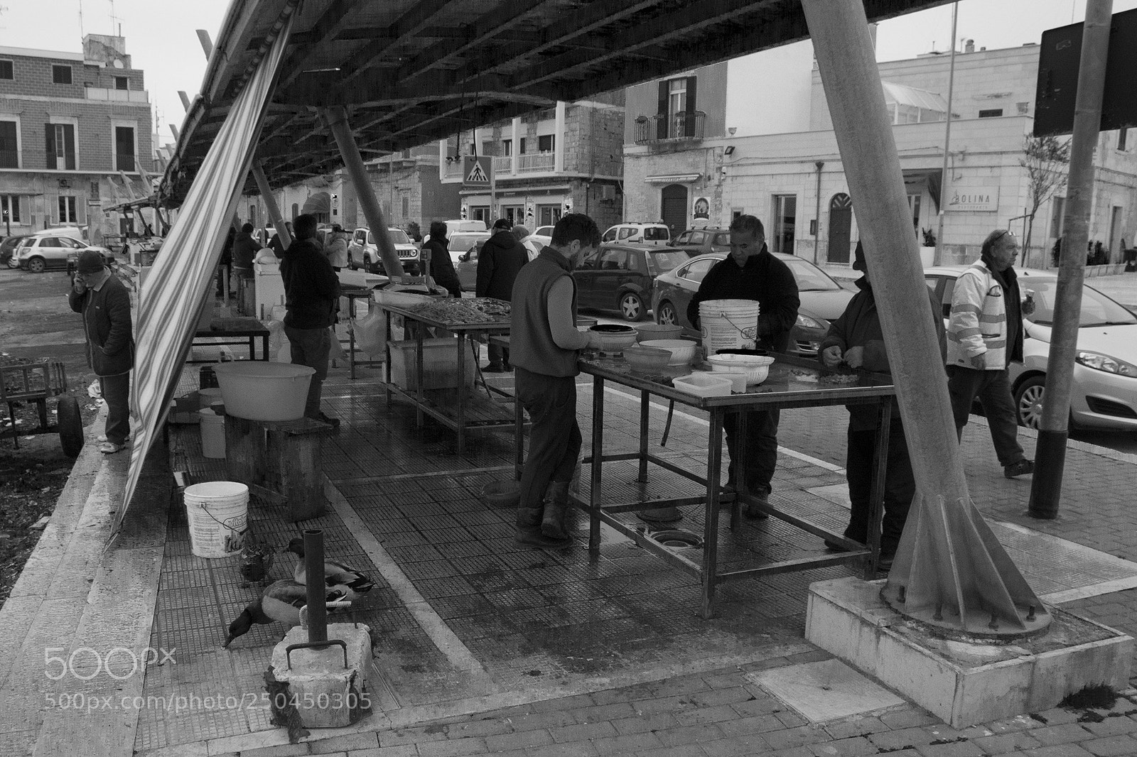 Nikon D3200 sample photo. Vendita del pescato. bari 2018 photography
