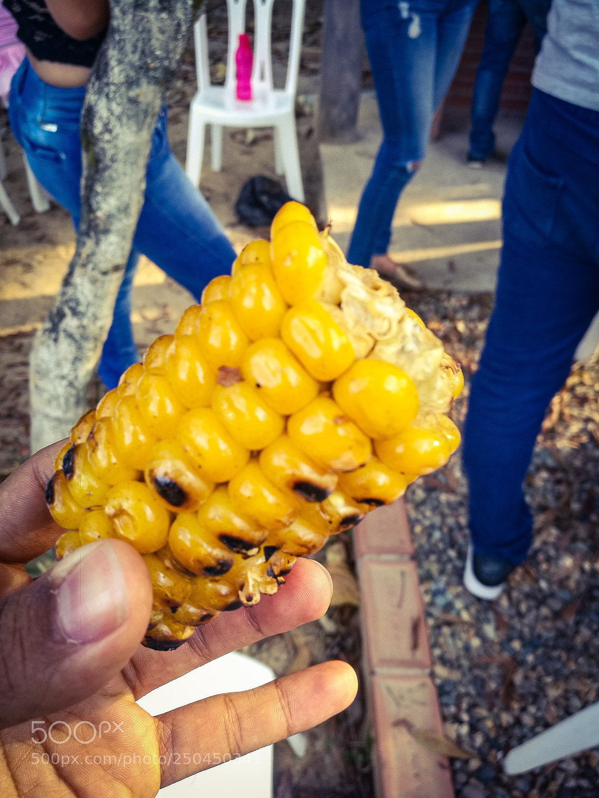 HUAWEI Honor 8 sample photo. Mazorca photography