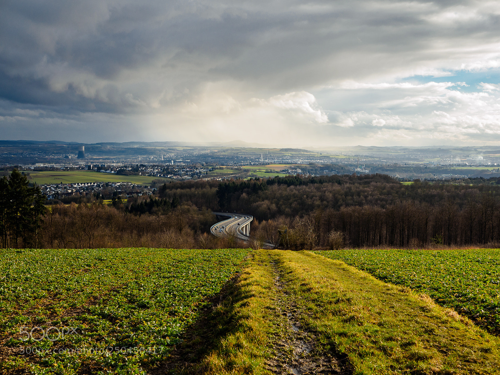 Olympus OM-D E-M1 sample photo. Neuwieder becken photography