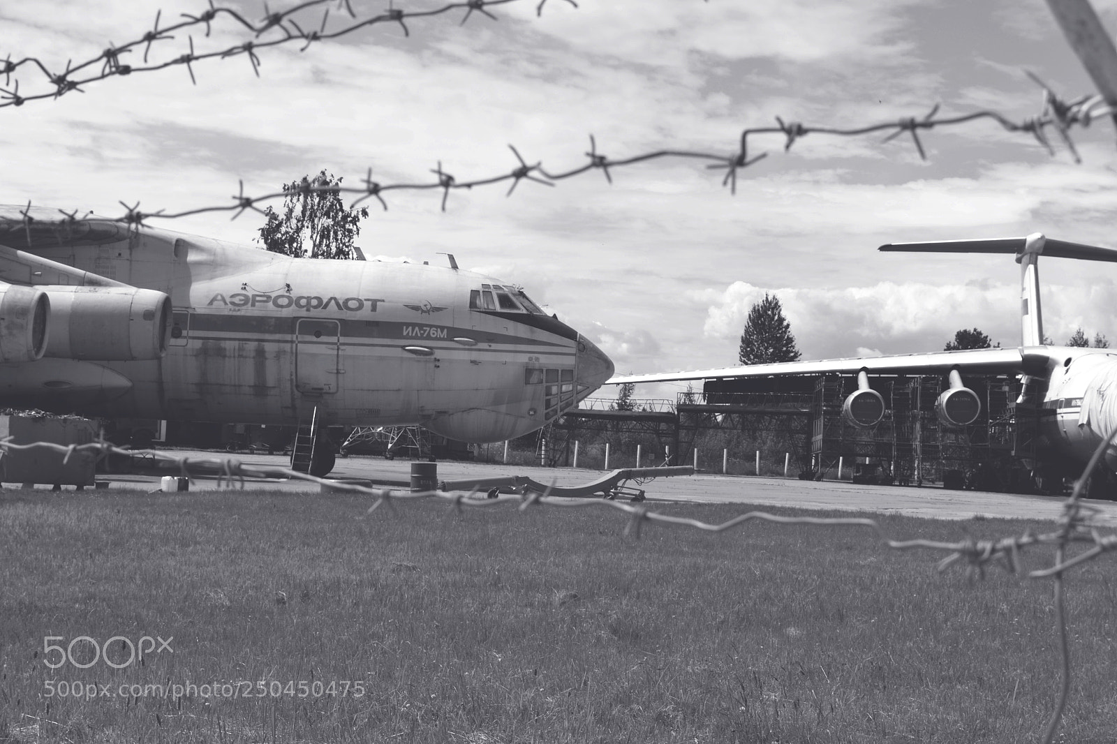 Nikon D3100 sample photo. Fly photography