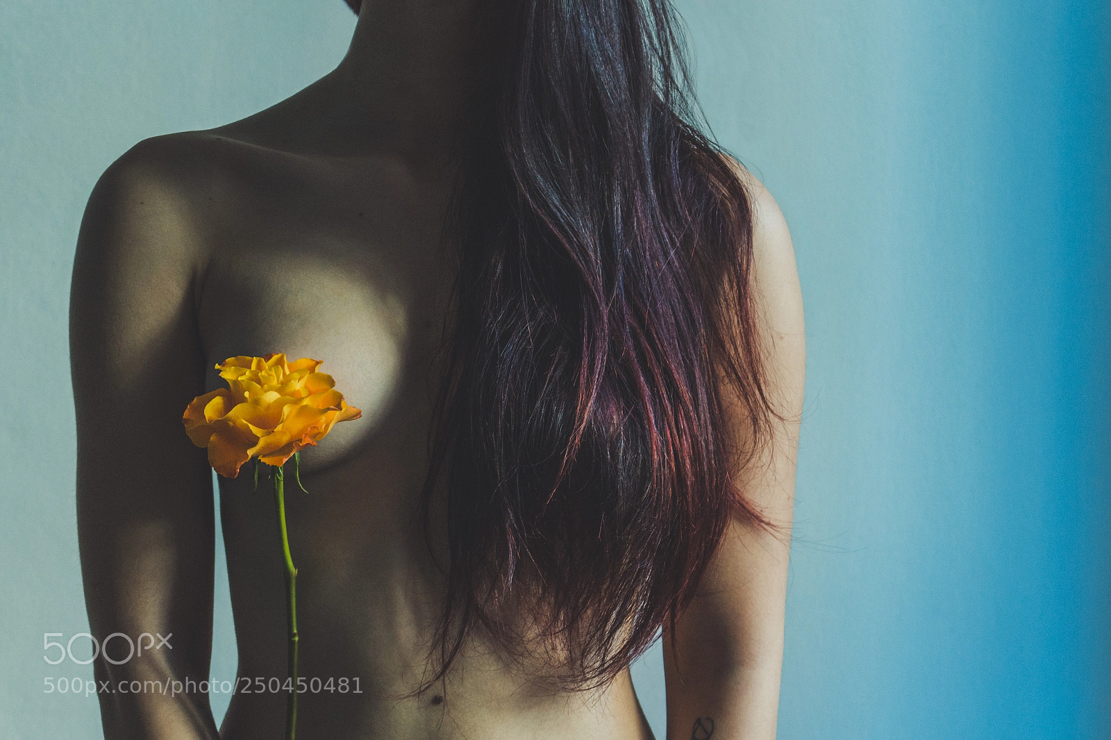Canon EOS 700D (EOS Rebel T5i / EOS Kiss X7i) sample photo. Orange rose photography