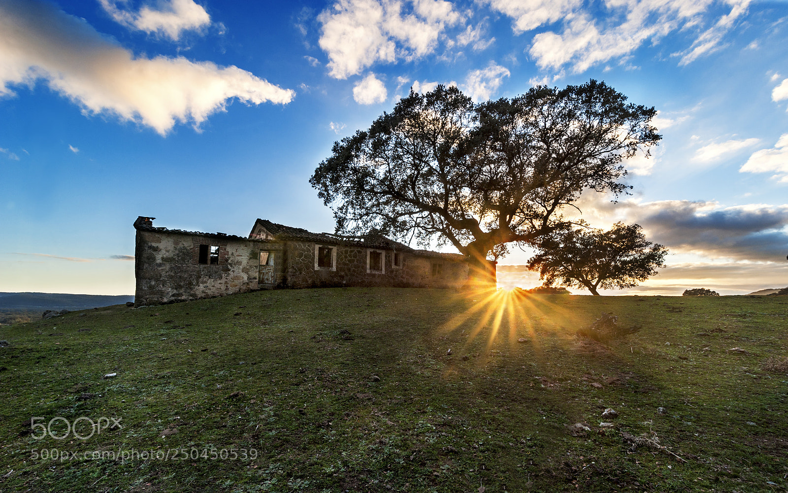 Nikon D700 sample photo. Treehouse photography