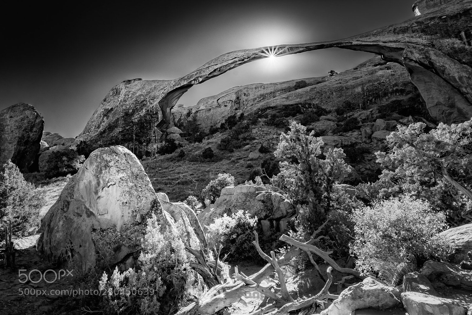 Fujifilm X-T20 sample photo. Landscape arch (silver version) photography