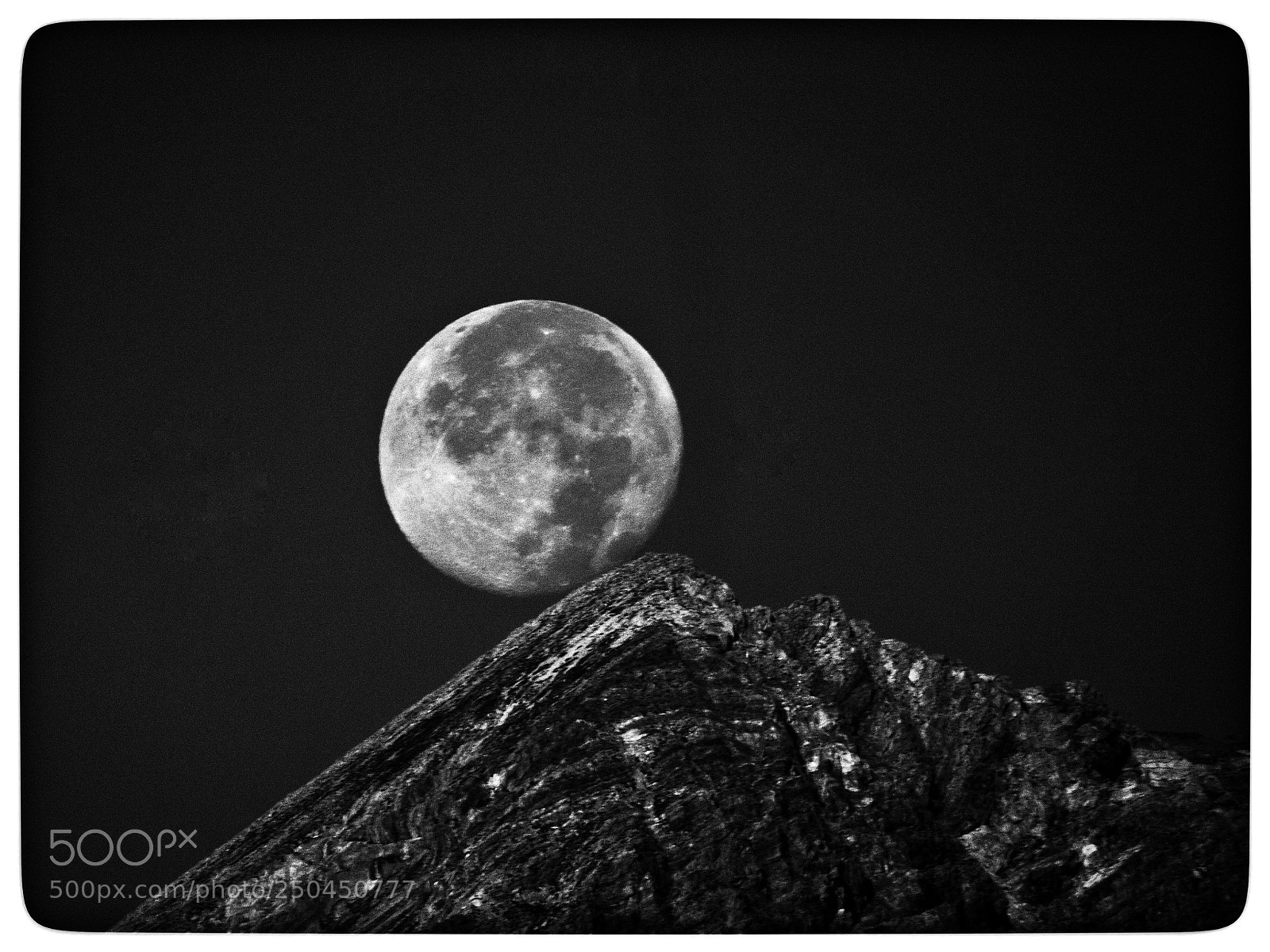 Nikon D7100 sample photo. Untitled photography