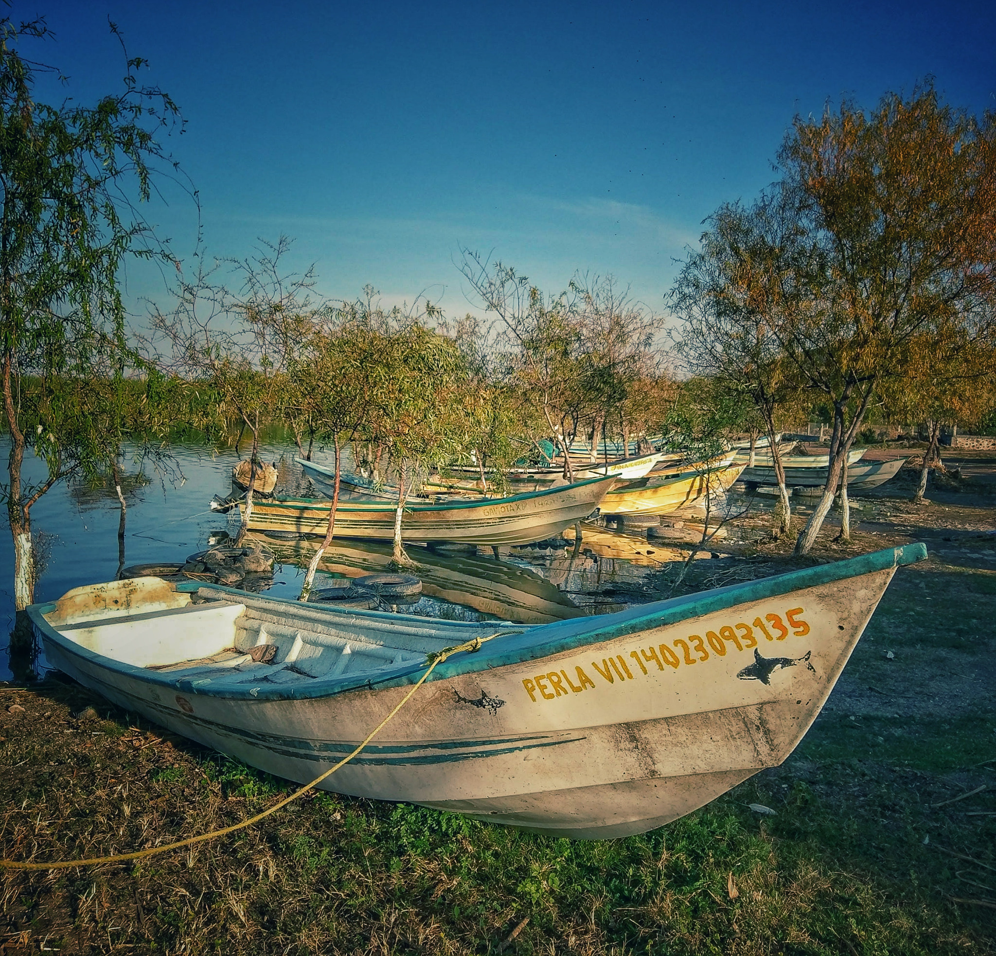 HTC 10 sample photo. Boats and birds photography