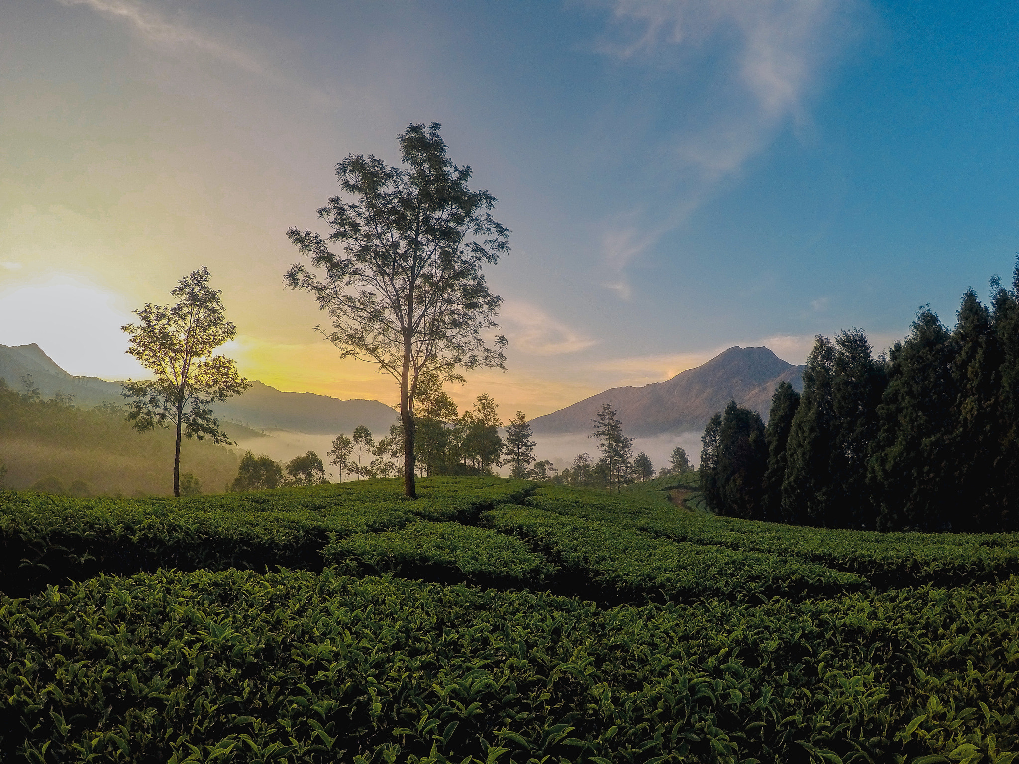 GoPro HERO4 Silver sample photo. Morning in munnar, india photography