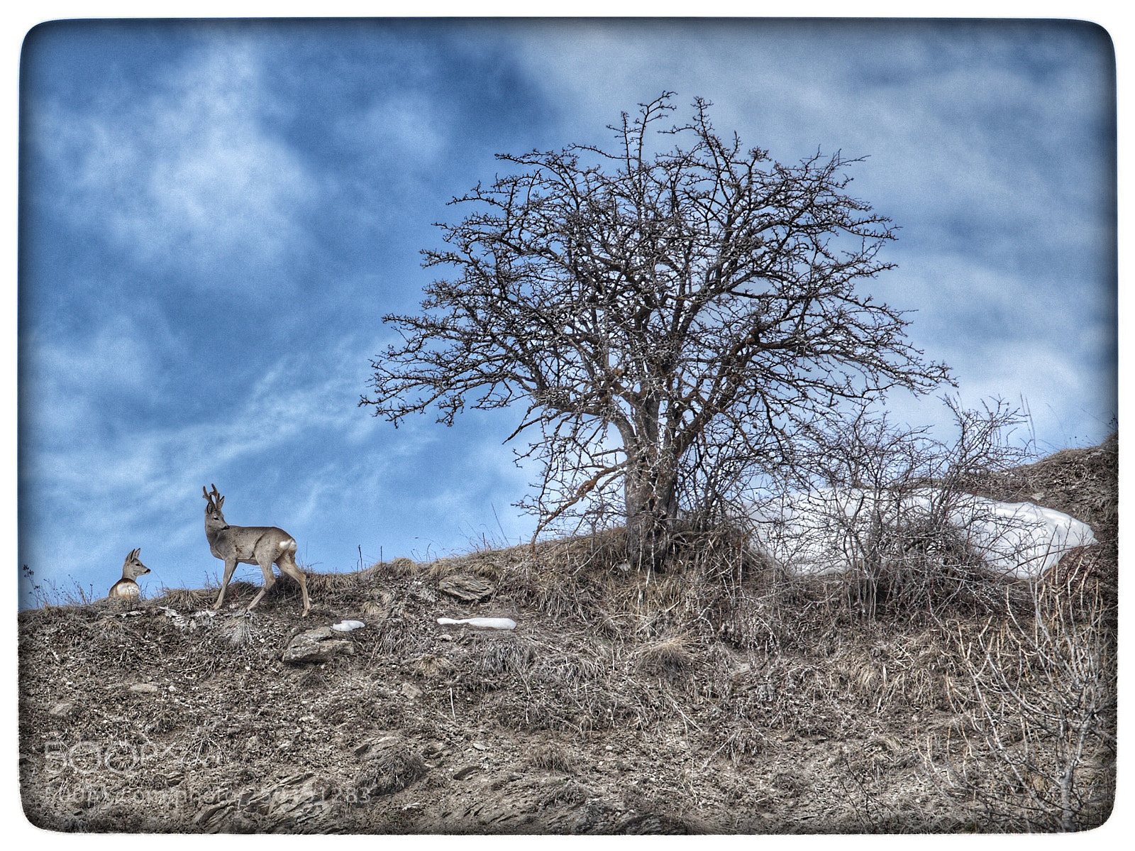 Nikon D610 sample photo. Untitled photography