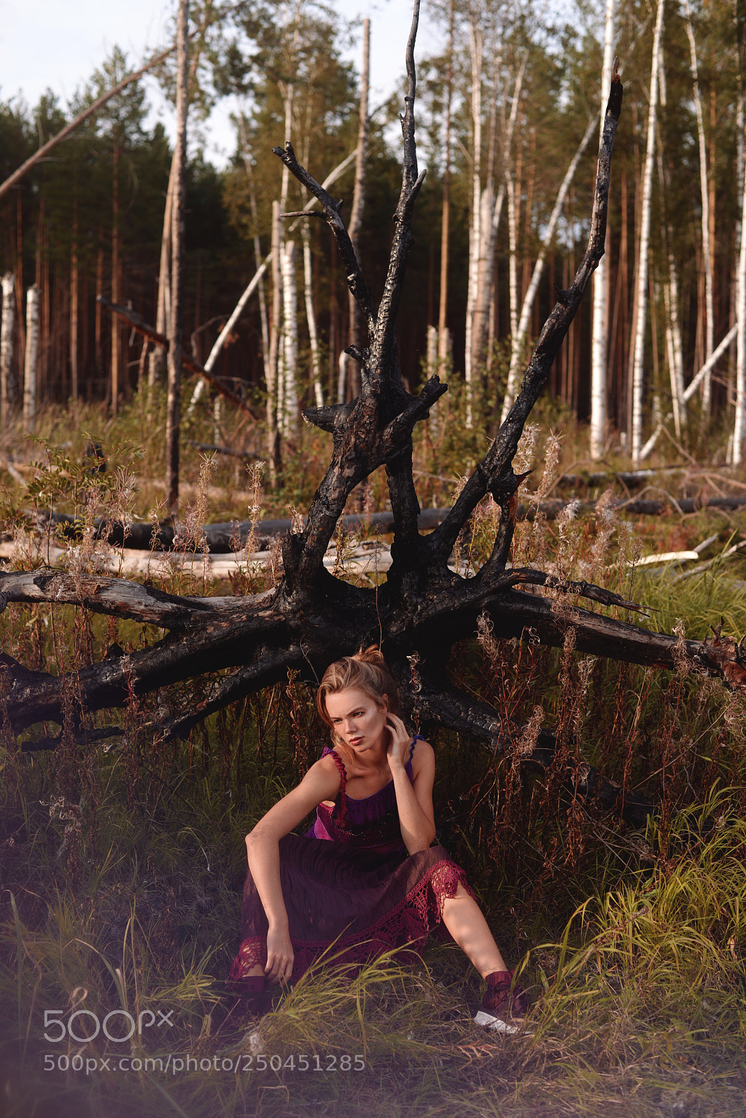 Nikon D610 sample photo. The craft photography
