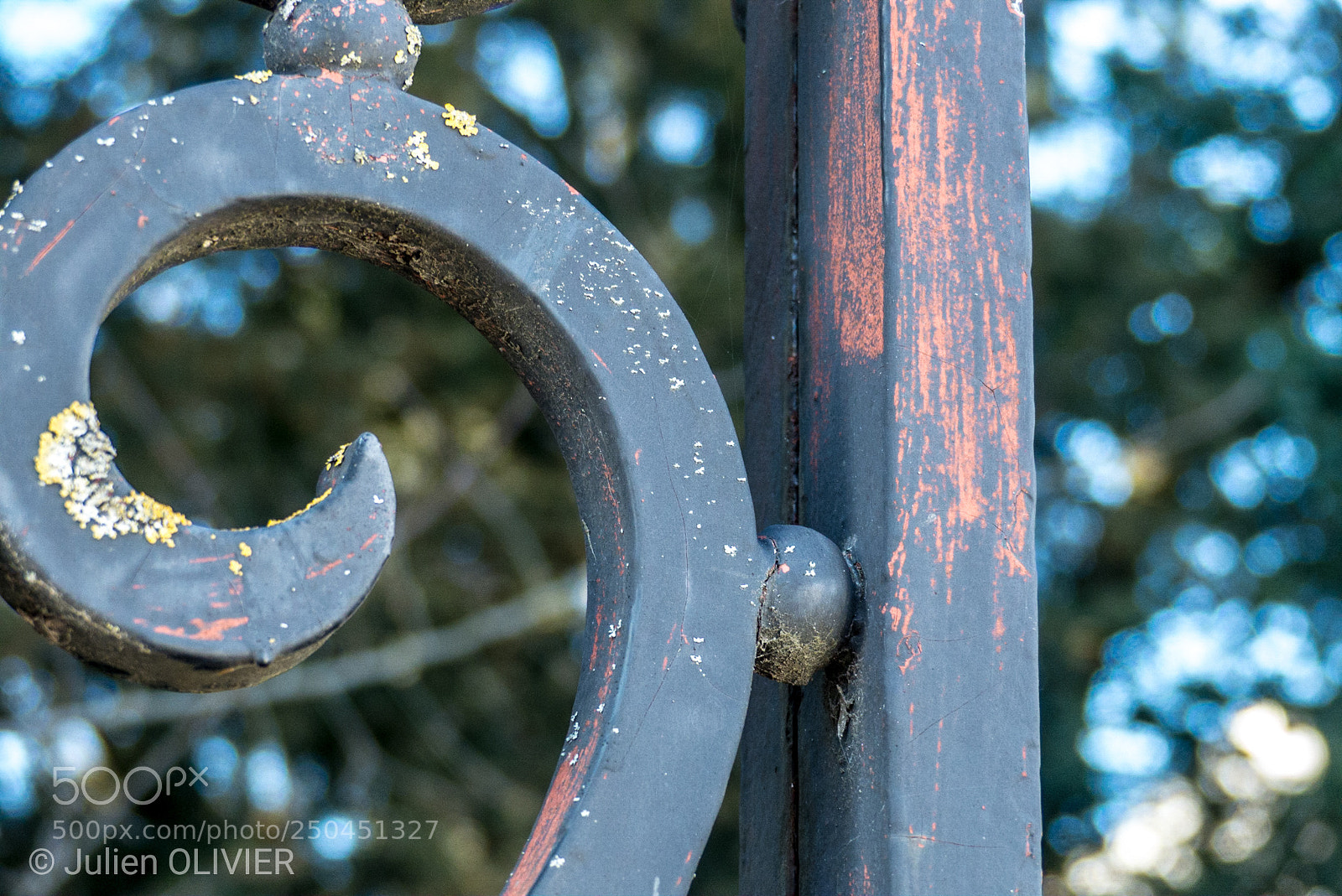 Panasonic Lumix DMC-FZ200 sample photo. Grille photography