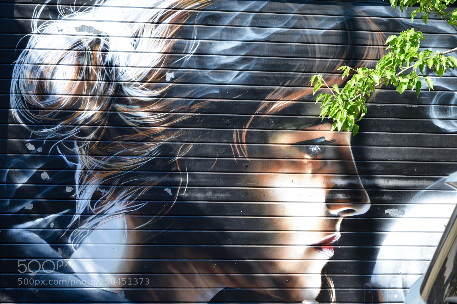 Nikon D3300 sample photo. Walking around....street art and photography