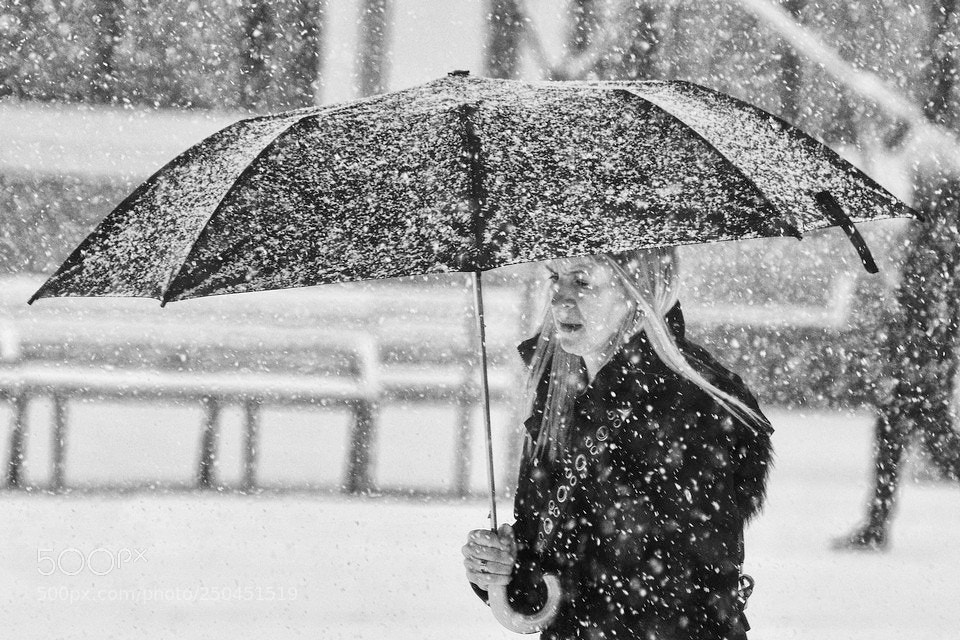 Nikon D800E sample photo. The umbrella photography