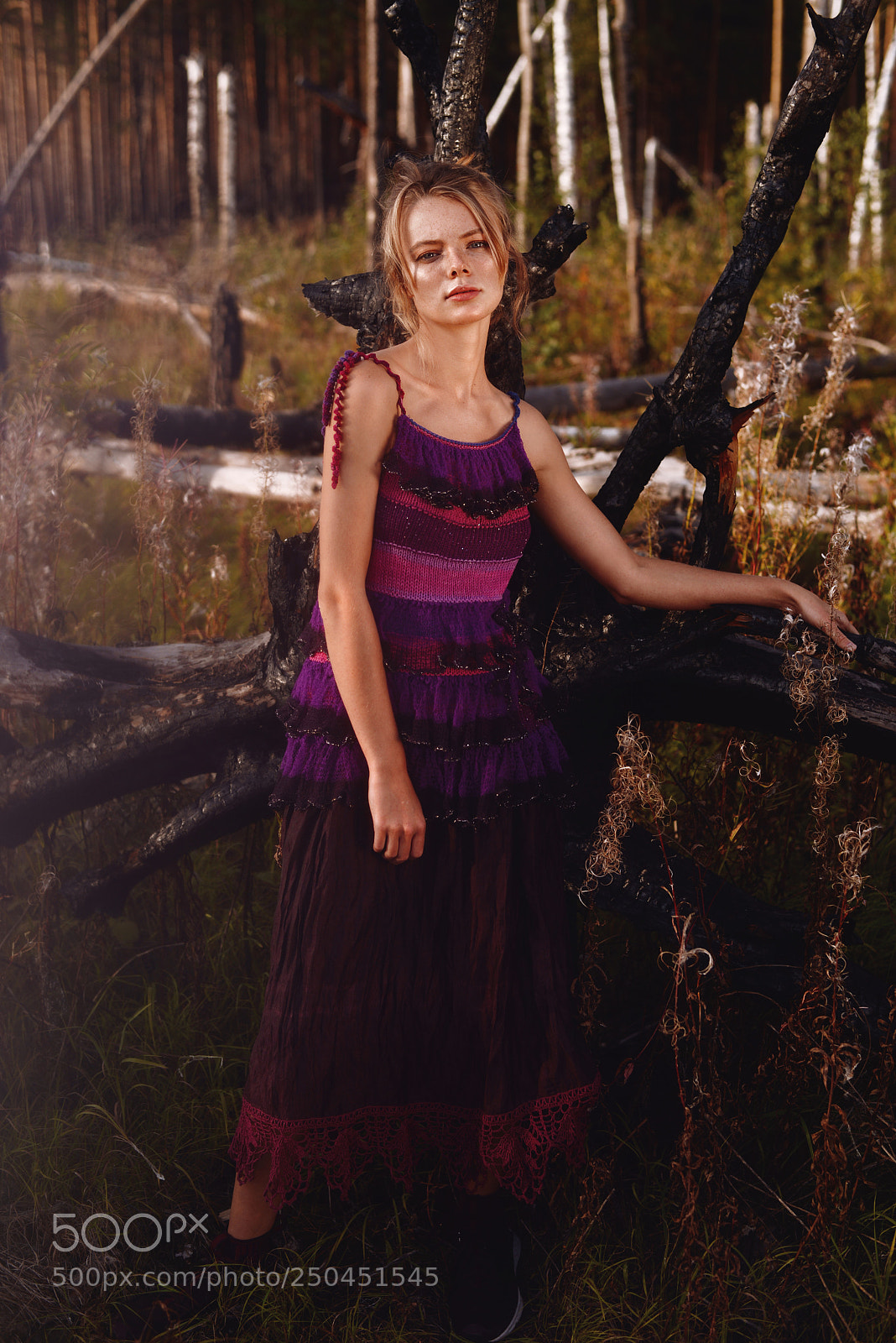 Nikon D610 sample photo. Witchy photography