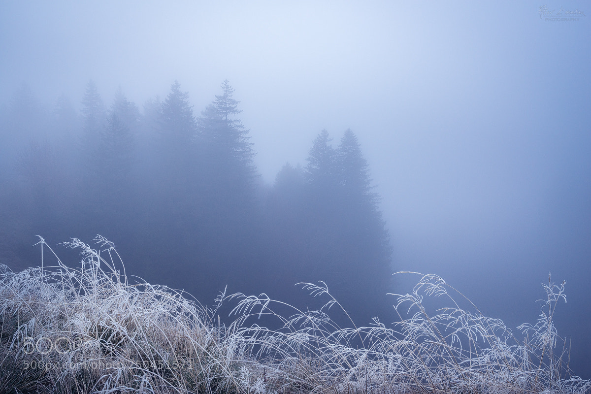 Sony a7R sample photo. Ghost photography