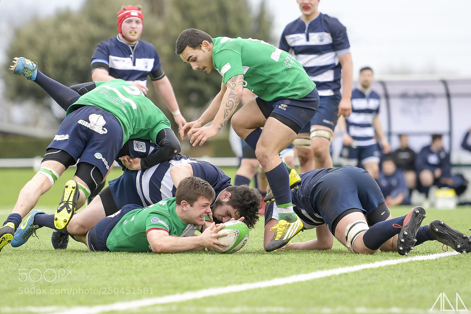 Nikon D5 sample photo. Benetton-mogliano rugby photography