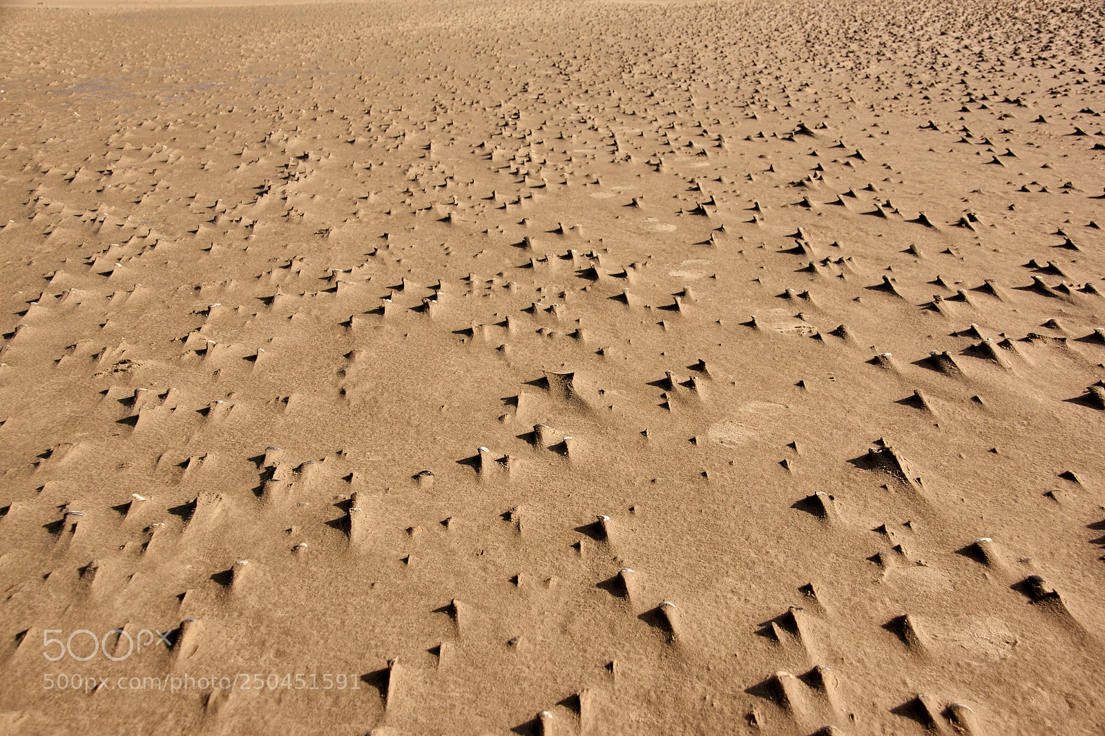 Sony SLT-A65 (SLT-A65V) sample photo. Sand structur on the photography