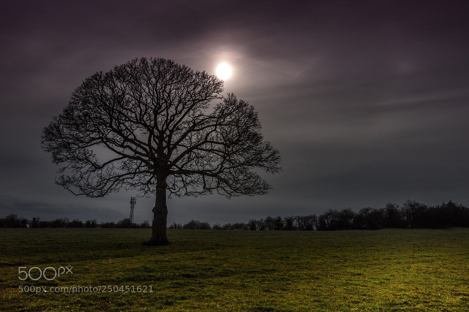 Canon EOS 760D (EOS Rebel T6s / EOS 8000D) sample photo. Moody field photography