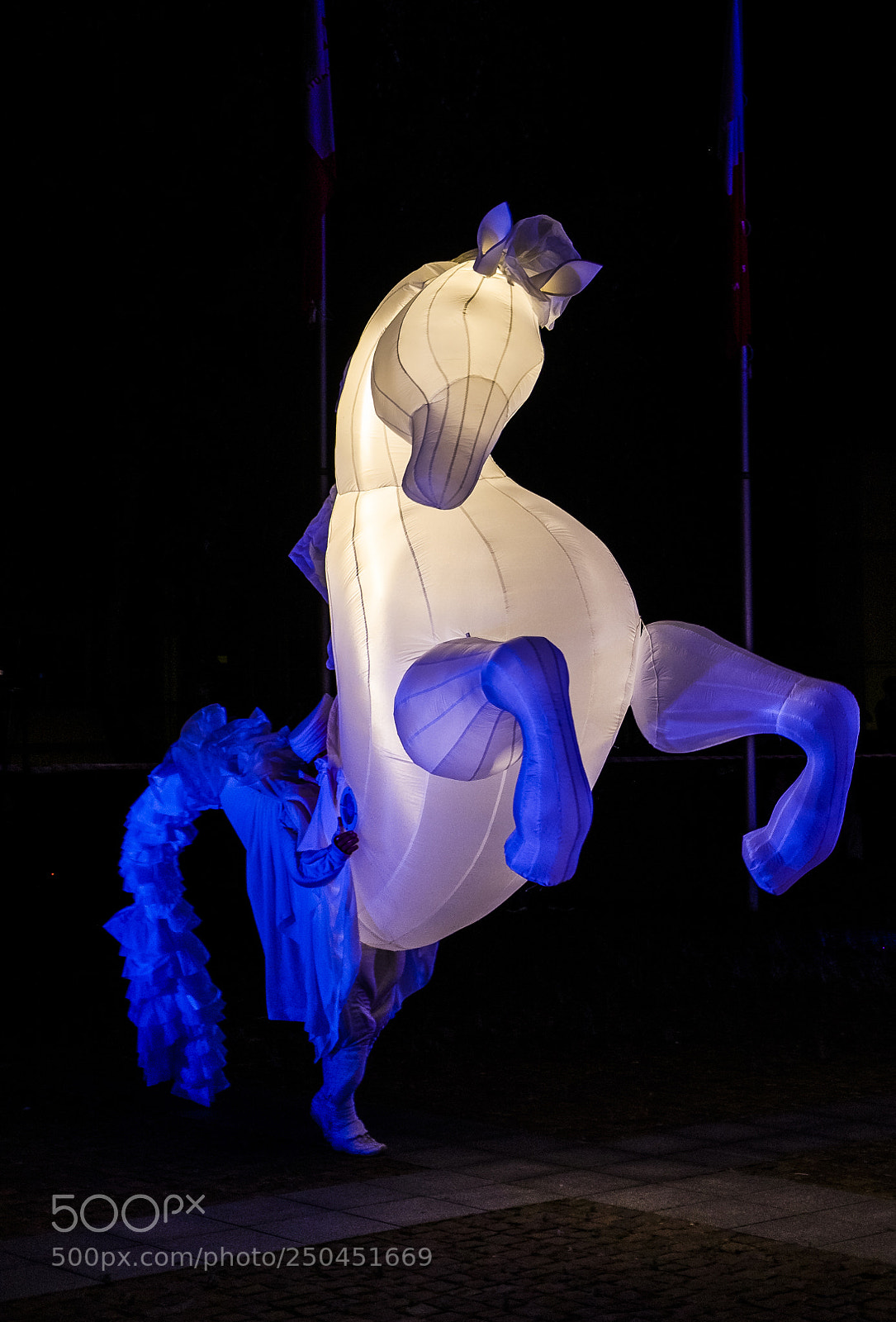 Fujifilm X-T1 sample photo. White horses dancing iv photography