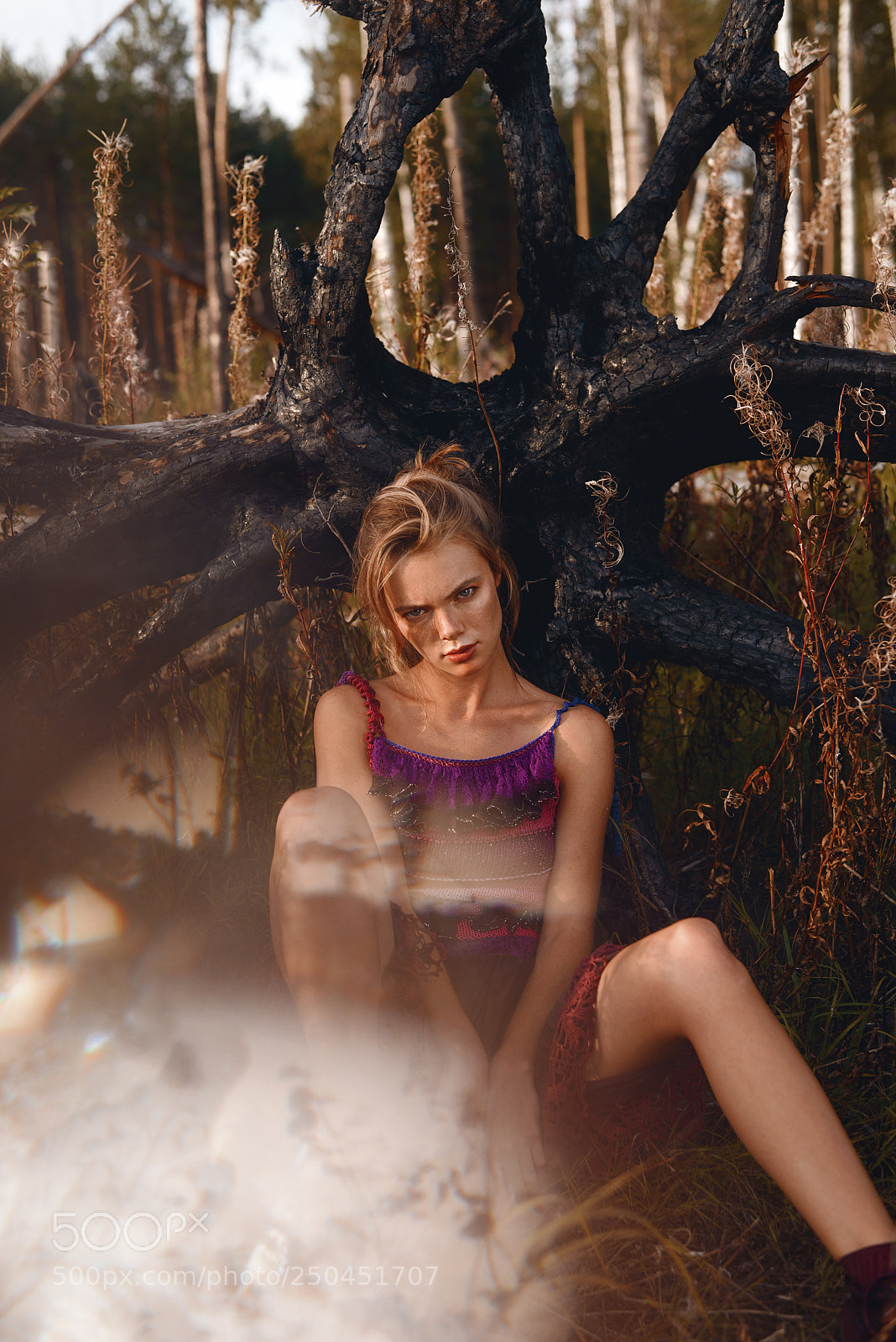 Nikon D610 sample photo. Wicked photography