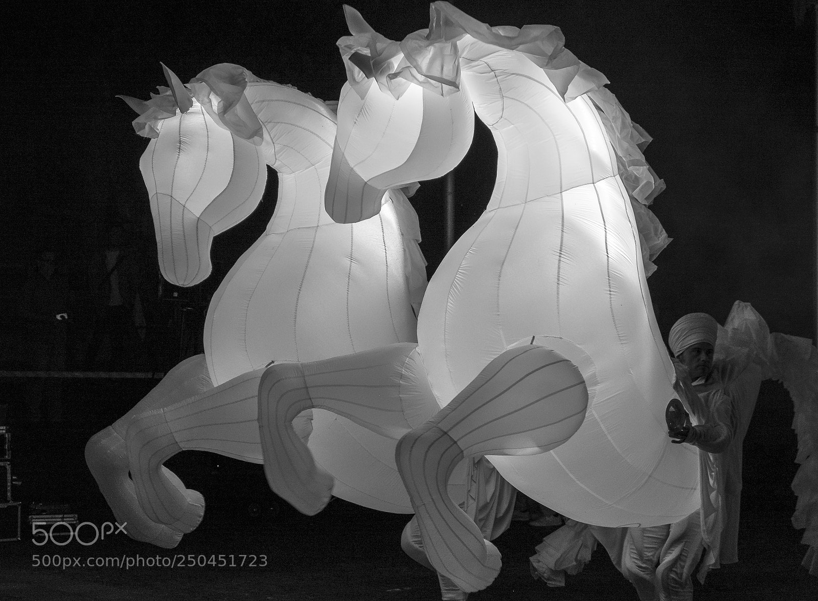 Fujifilm X-T1 sample photo. White horses dancing iii photography