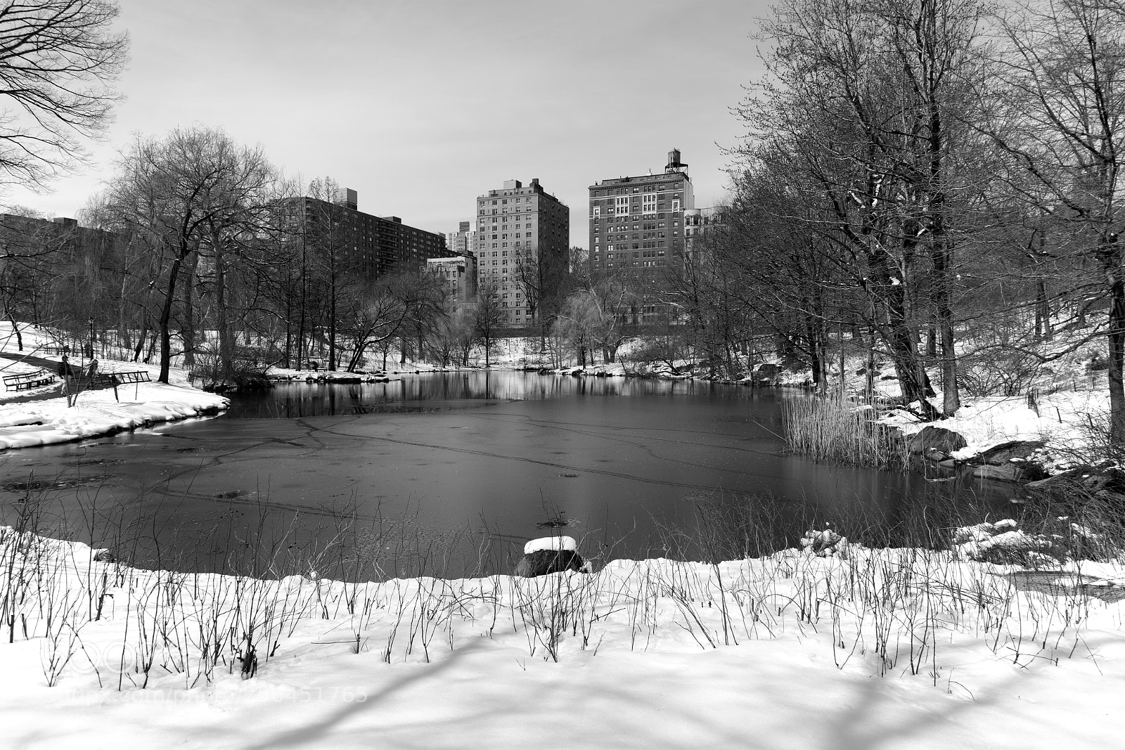 Sony a7R II sample photo. The pool in early photography