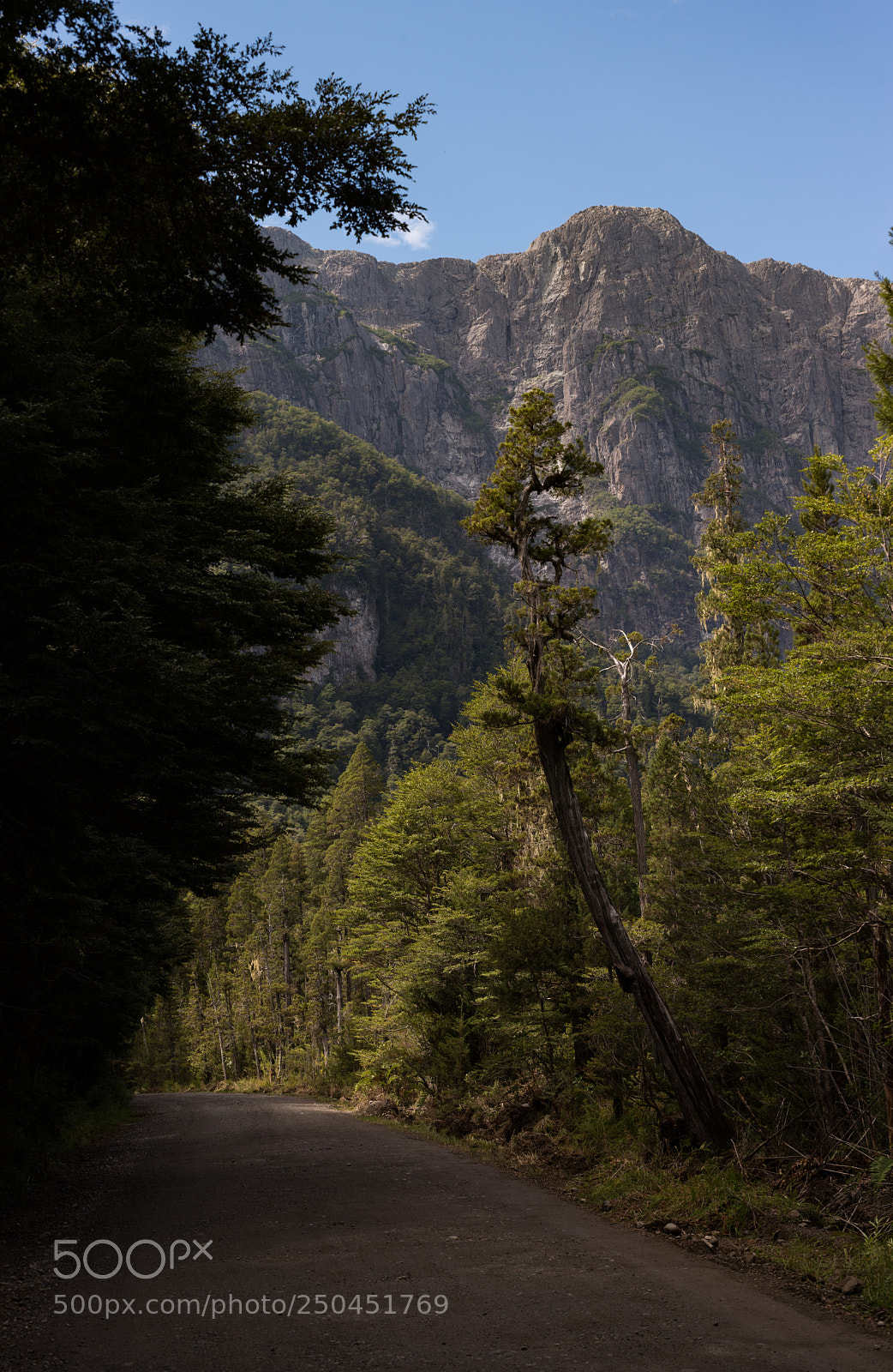 Nikon D810 sample photo. On the way to photography