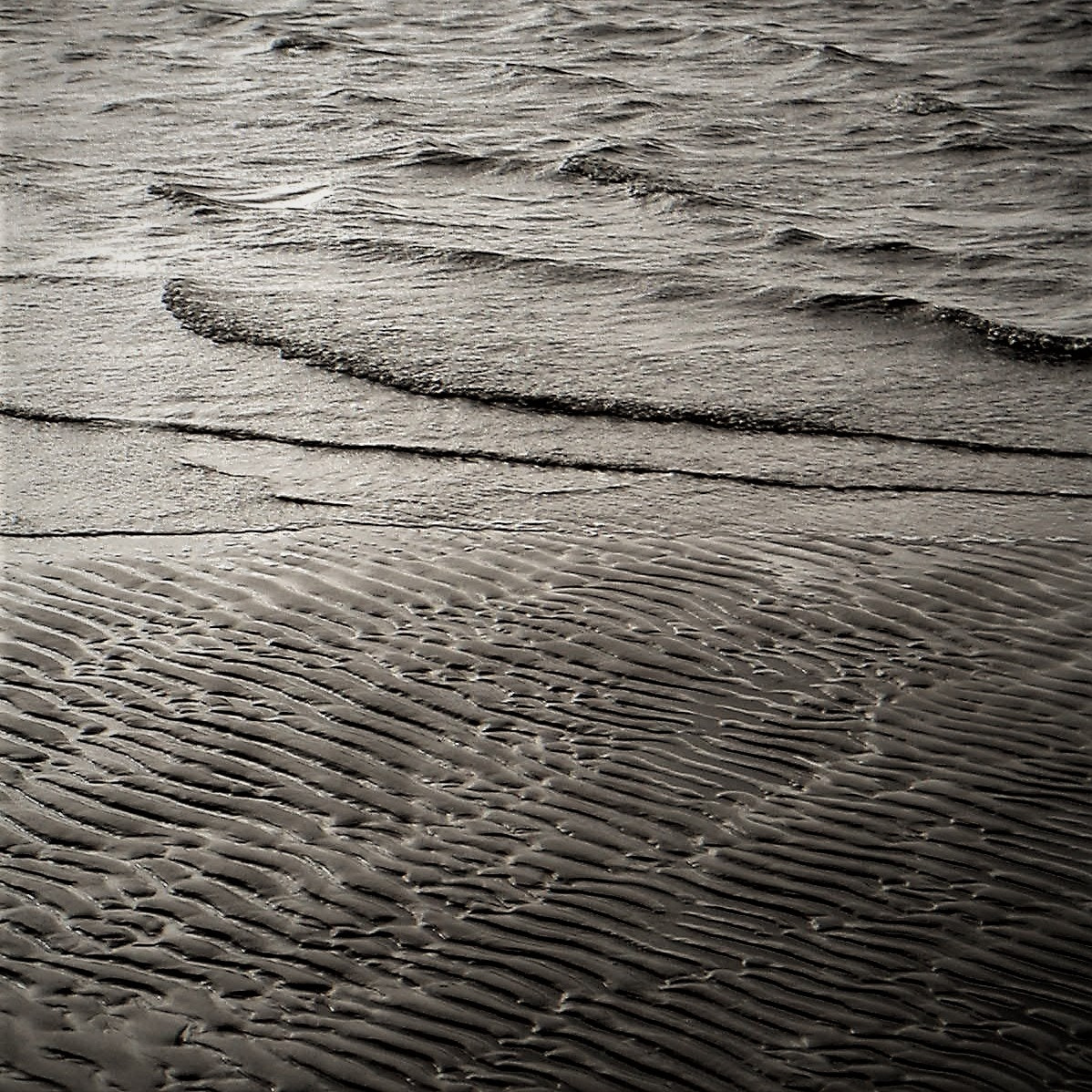 KONICA MINOLTA DiMAGE X sample photo. Transition photography