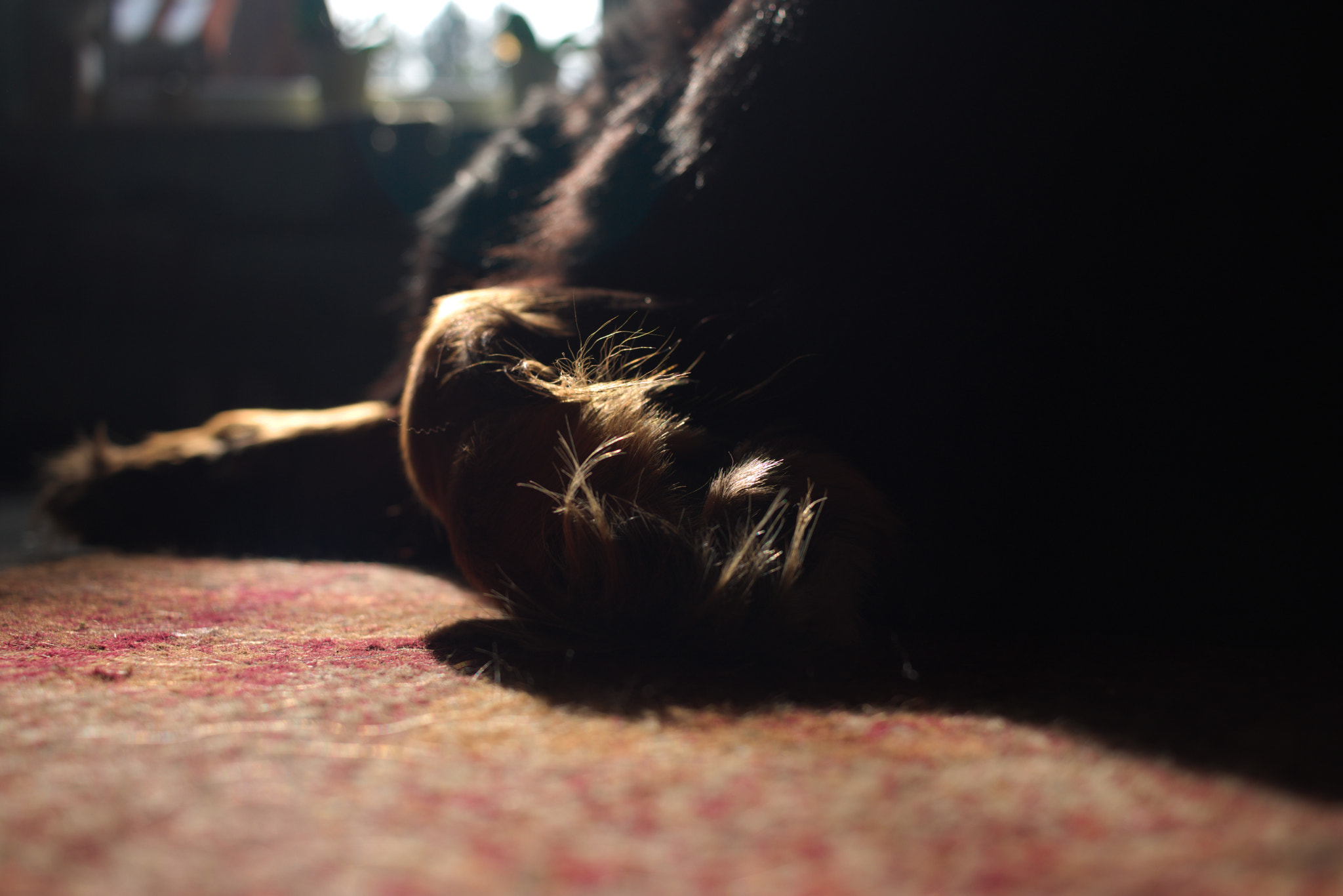Canon EF-S 24mm F2.8 STM sample photo