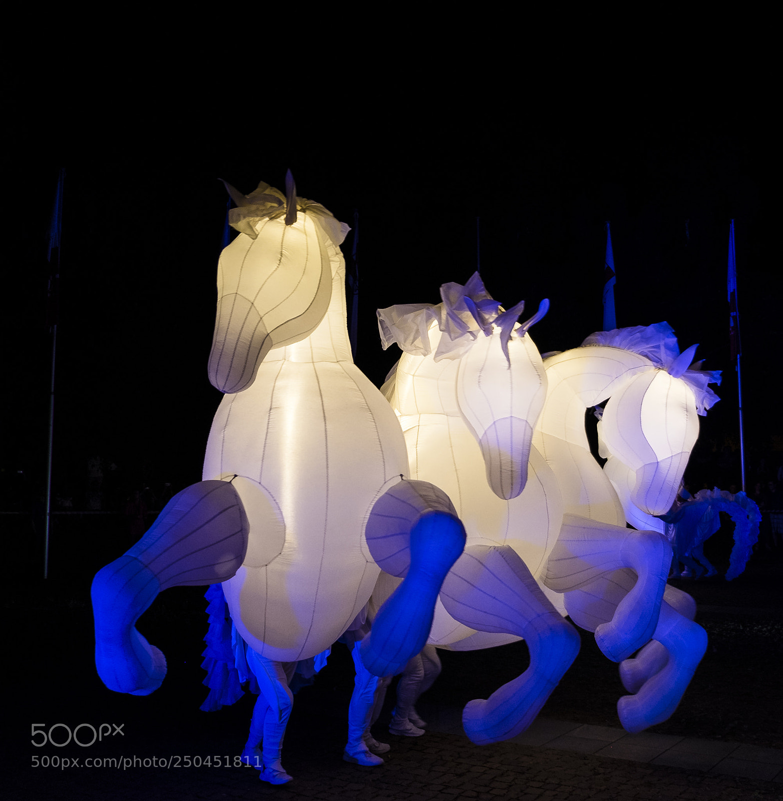 Fujifilm X-T1 sample photo. White horses dancing ii photography