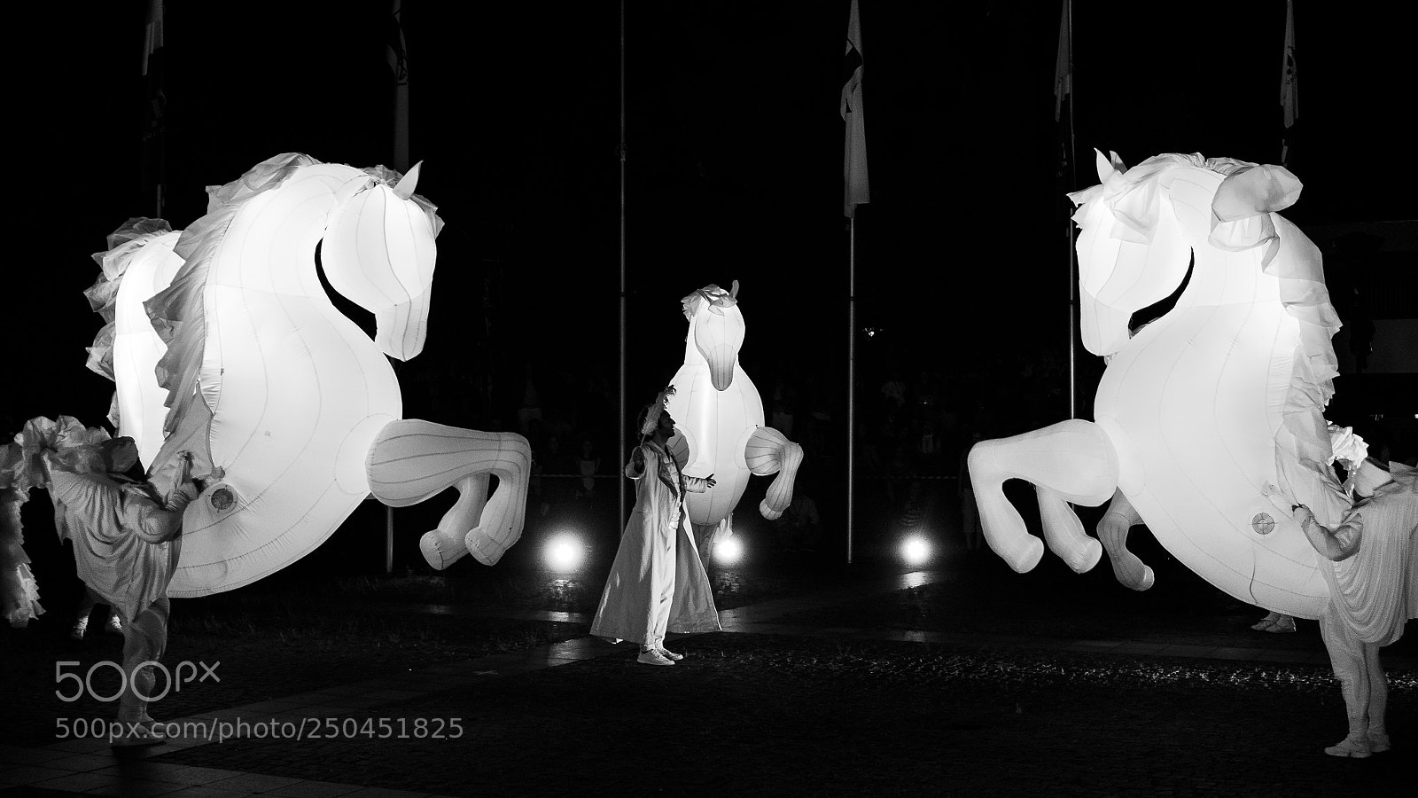 Fujifilm X-T1 sample photo. White horses dancing i photography