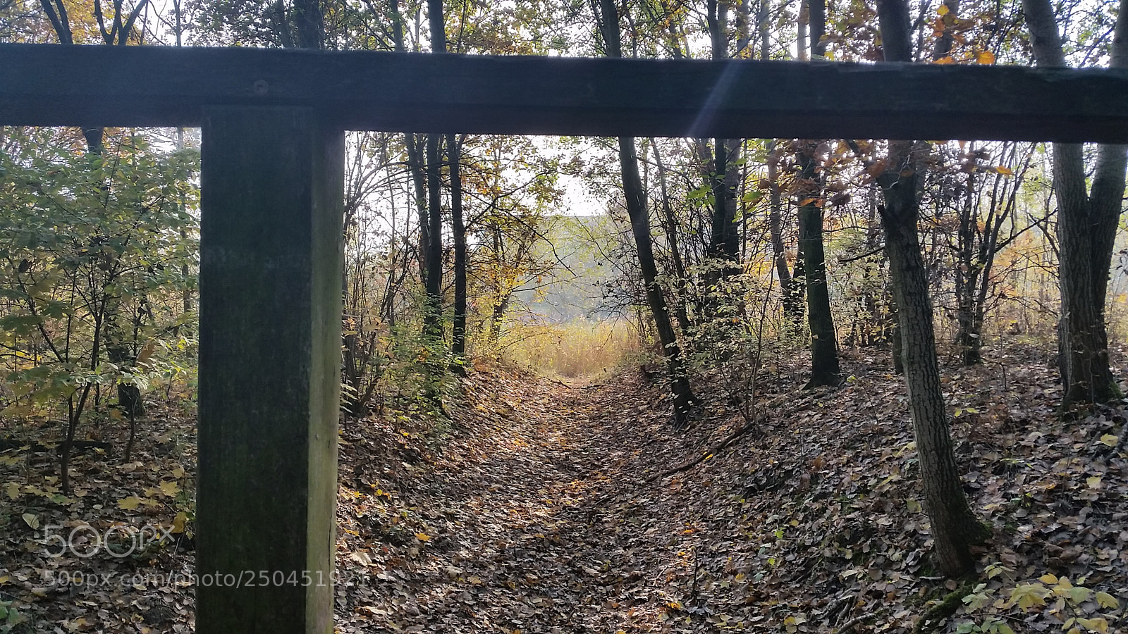Samsung Galaxy S5 sample photo. 2015-10-29 (1) photography