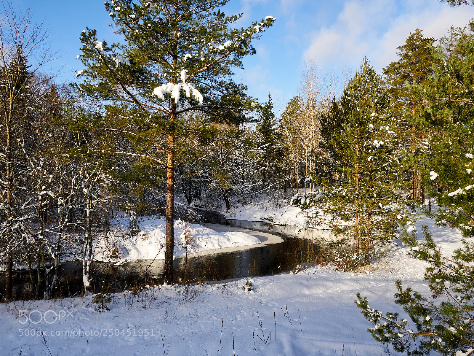 Olympus OM-D E-M1 sample photo. River in winter forest photography