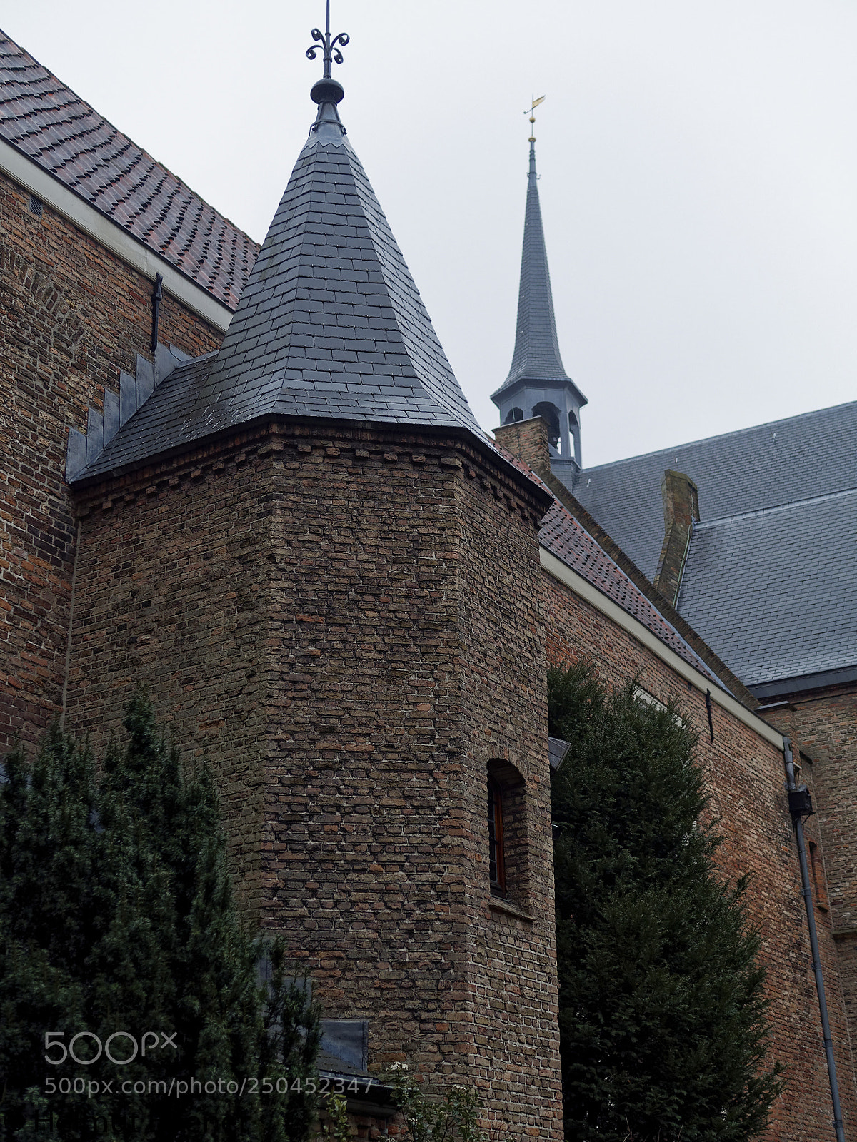 Olympus OM-D E-M5 sample photo. Delft nl, der prinsen photography
