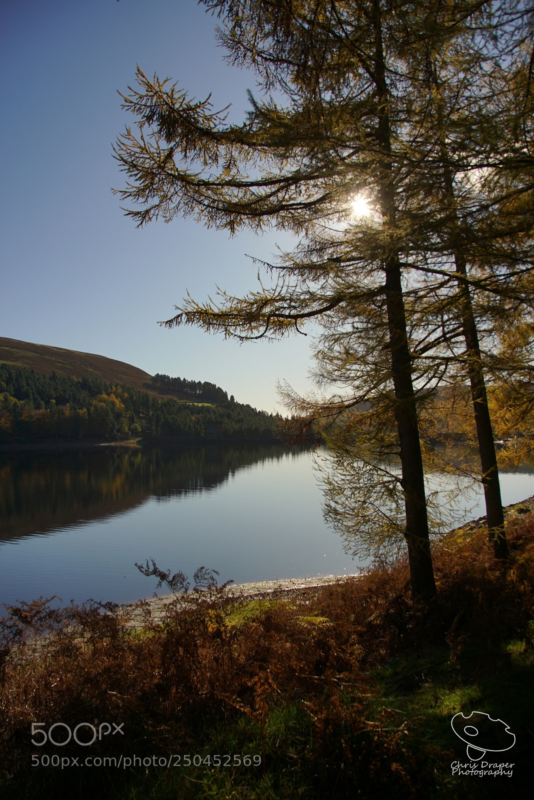 Sony ILCA-77M2 sample photo. Bright autumn morning photography