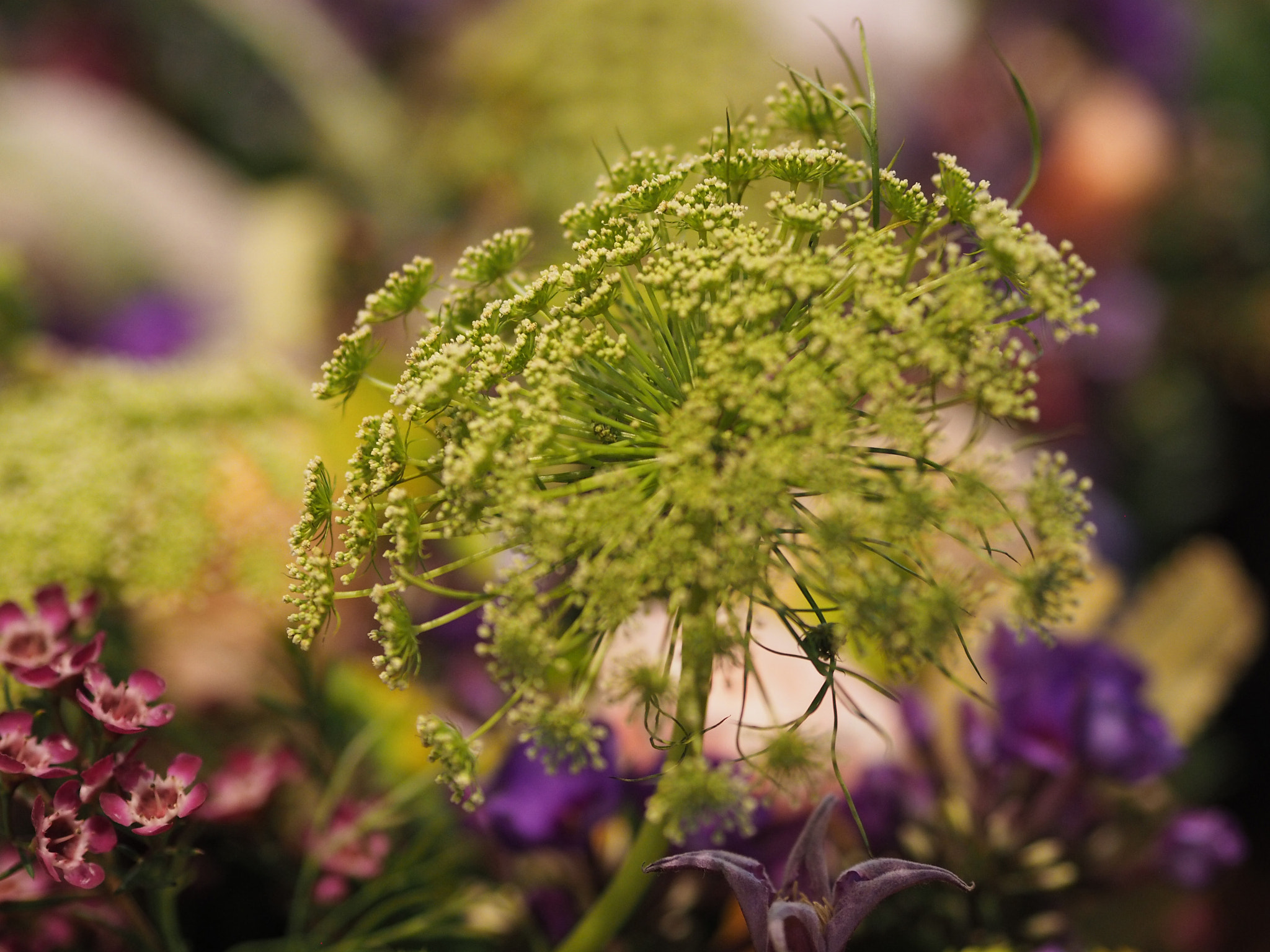 Olympus PEN E-PL8 sample photo. Colors photography