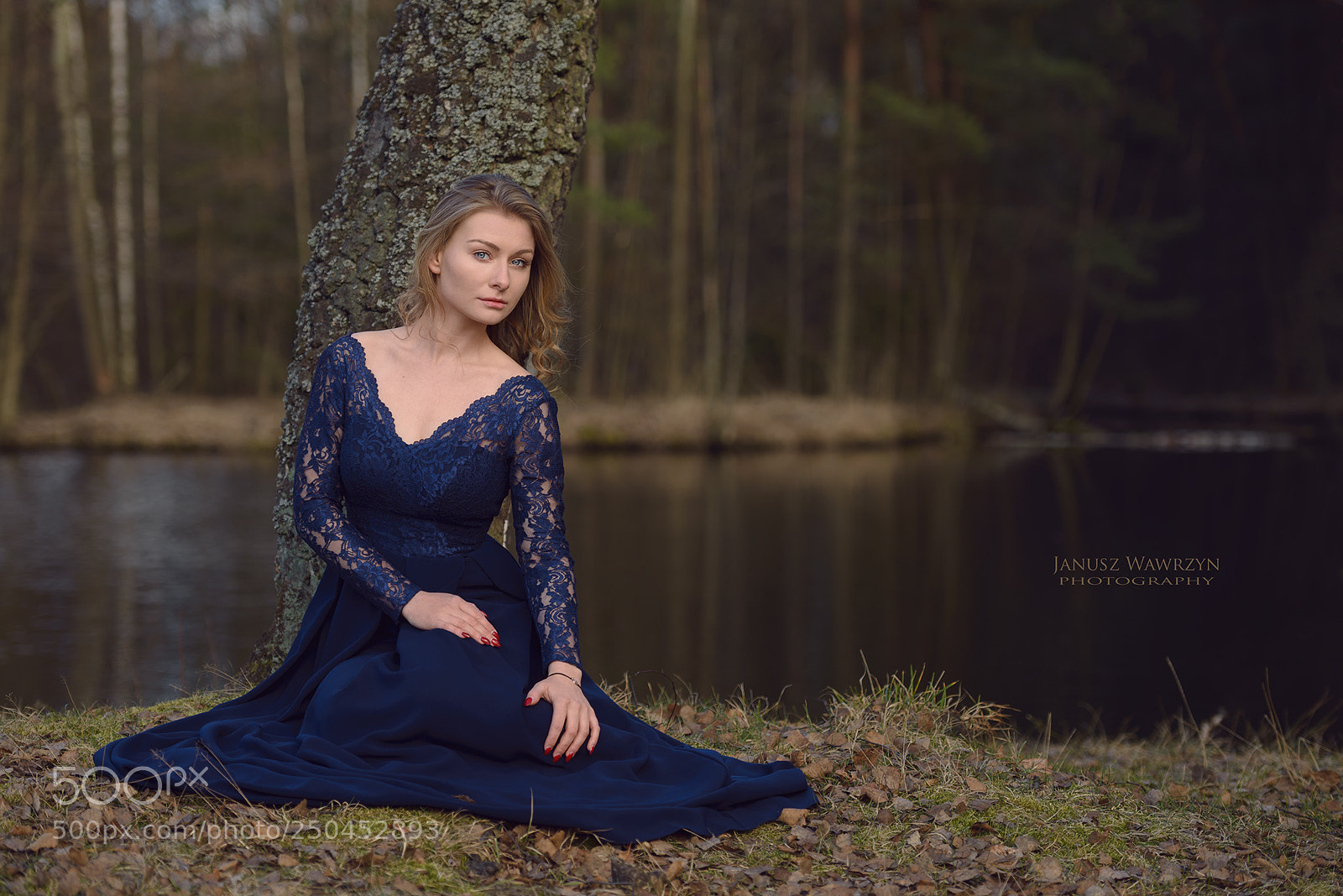 Nikon D610 sample photo. Untitled photography