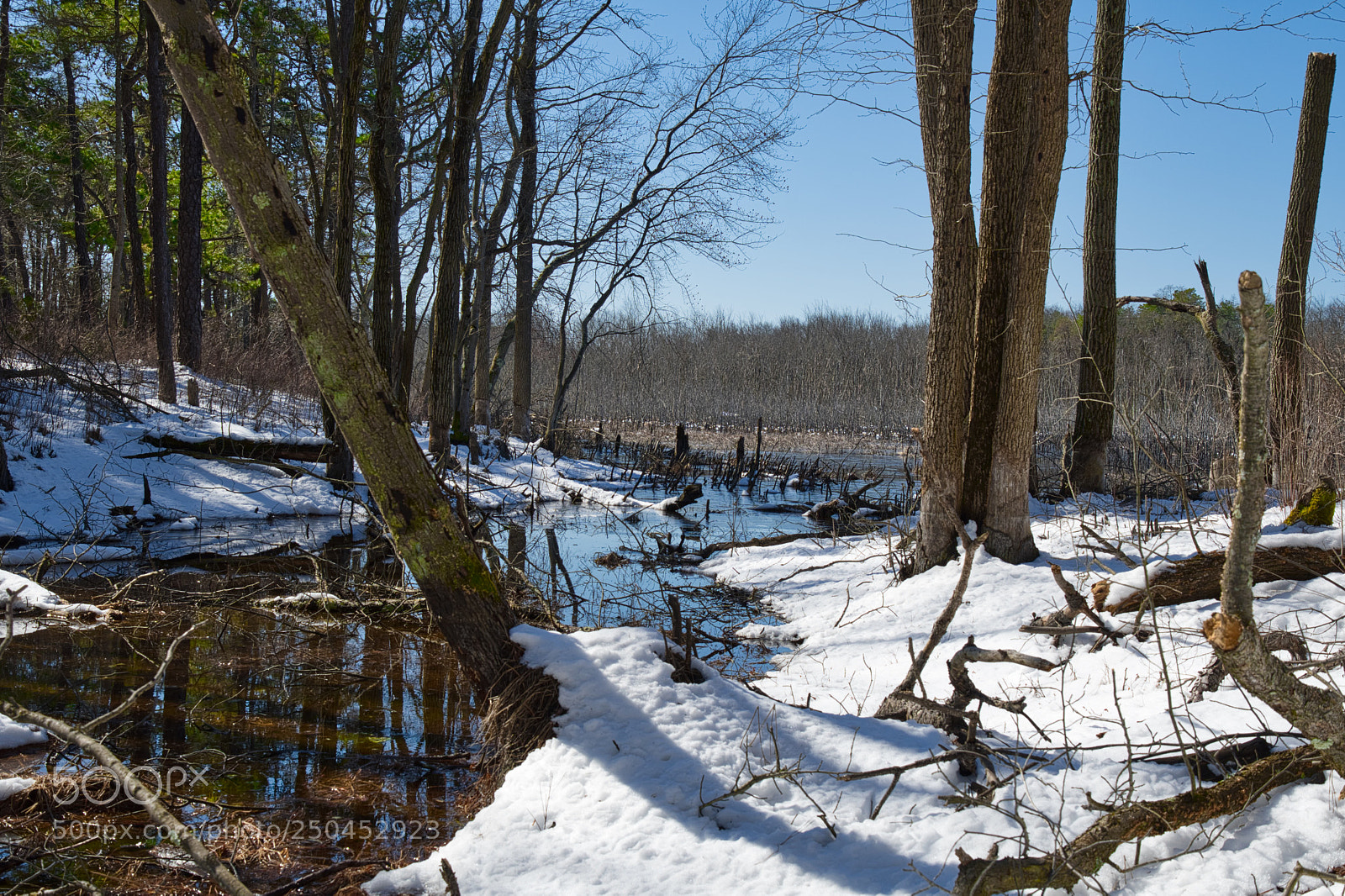 Nikon D7500 sample photo. Snowy day photography